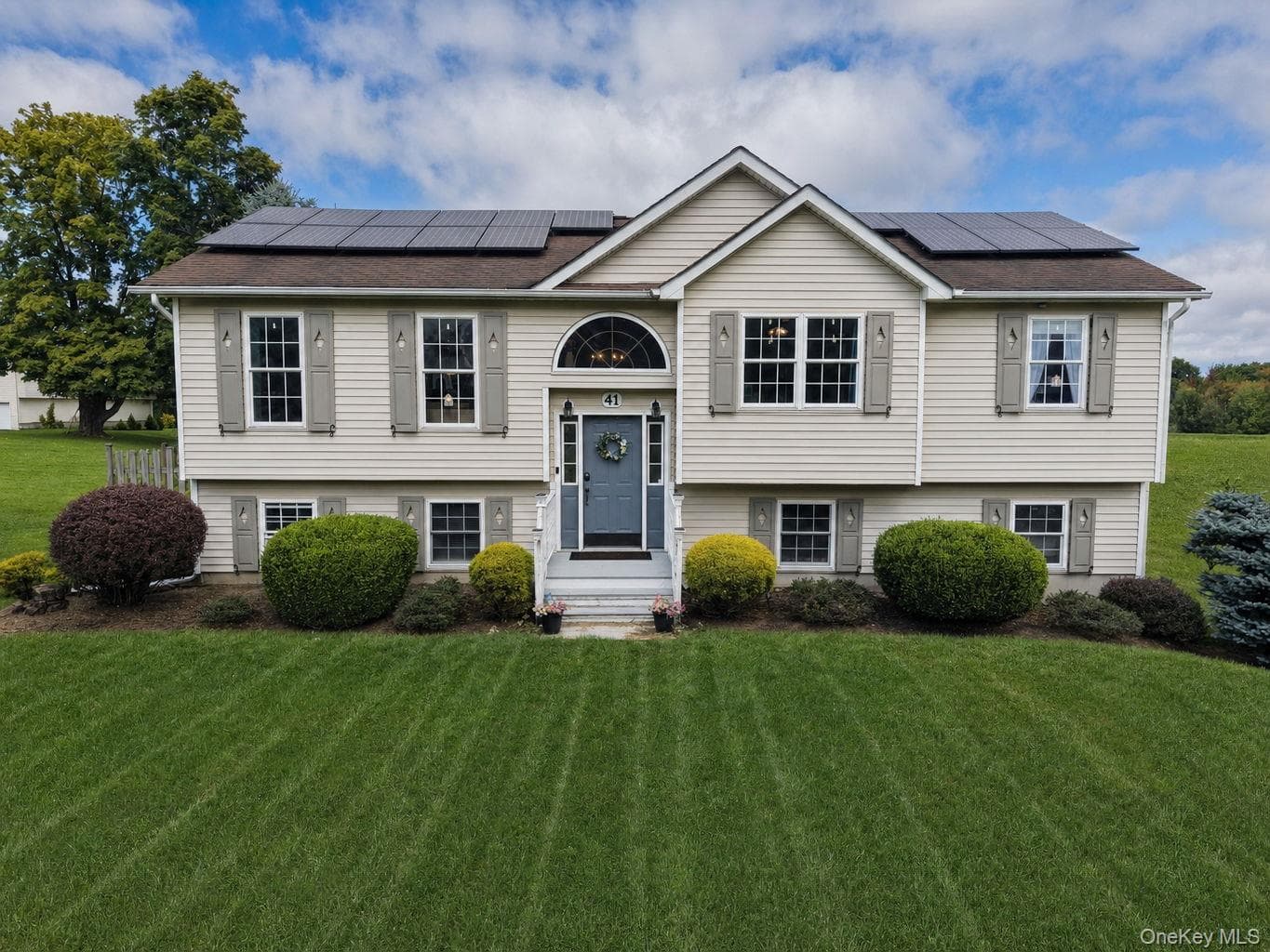 41 Mt Hope Avenue photo 1
