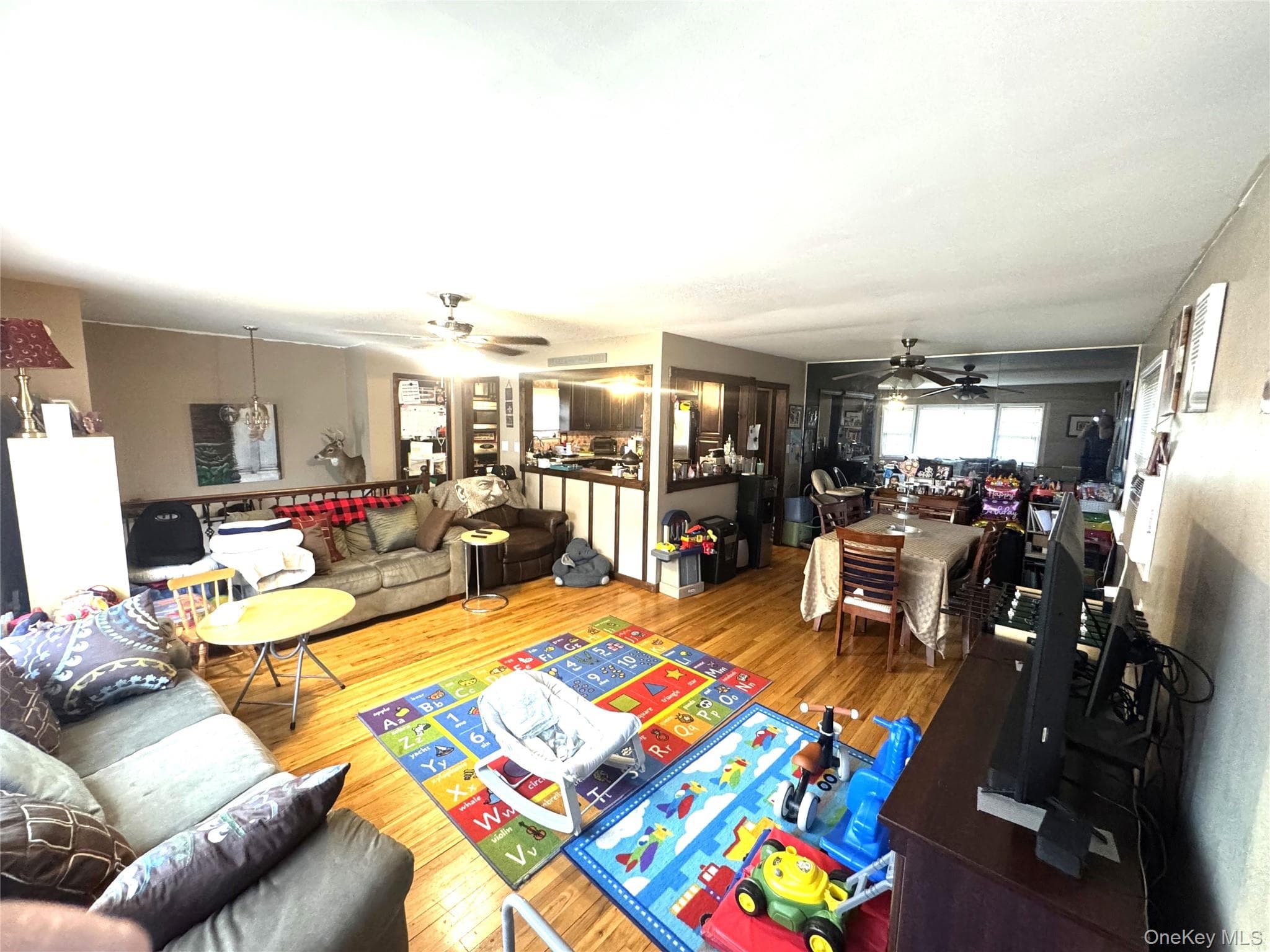 981 Mckinley Street thumbnail 4