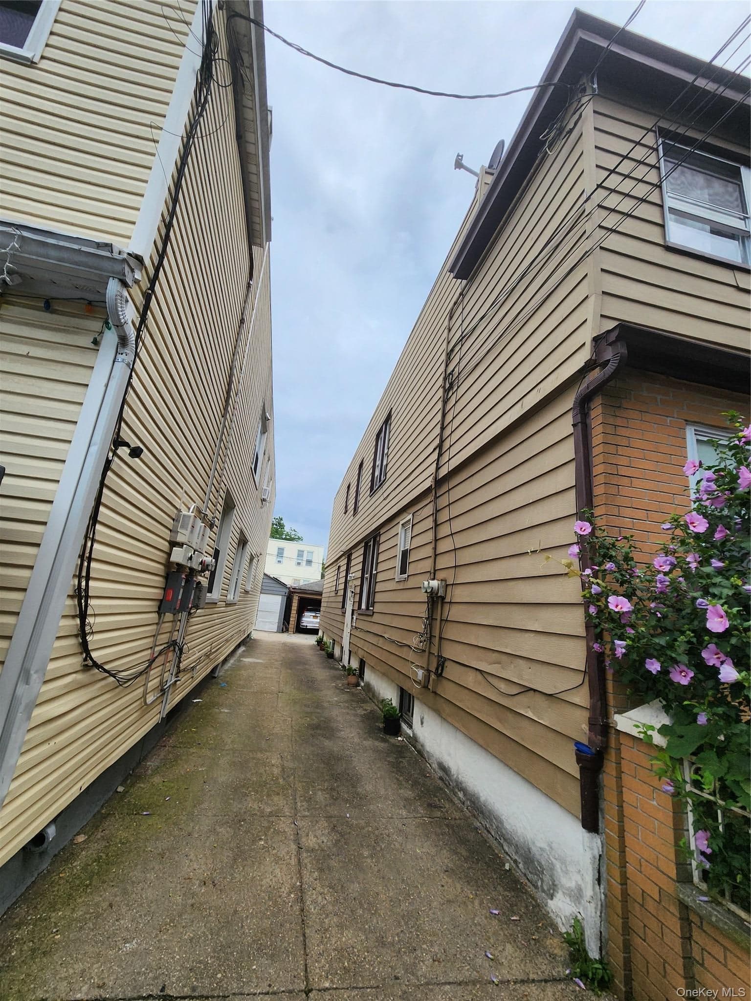 568 Drew Street thumbnail 2