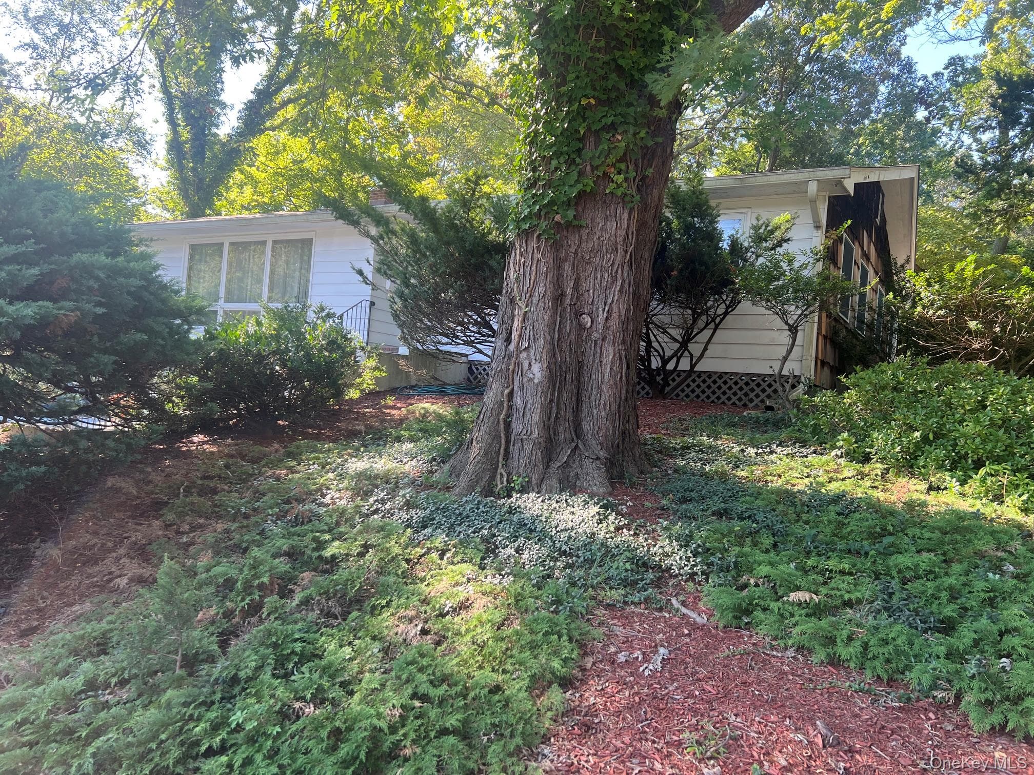 40 Laurel Drive thumbnail 24