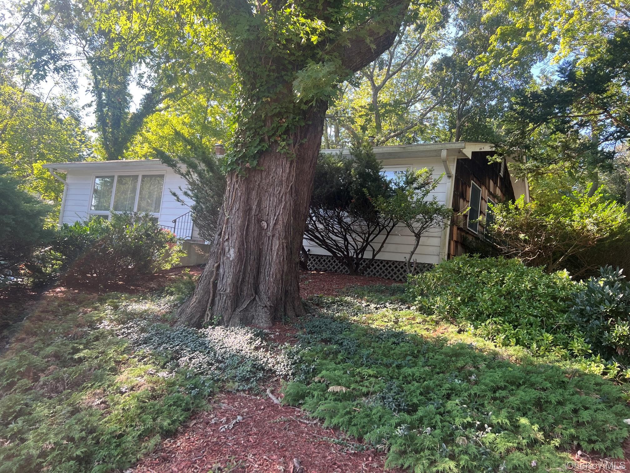40 Laurel Drive thumbnail 25