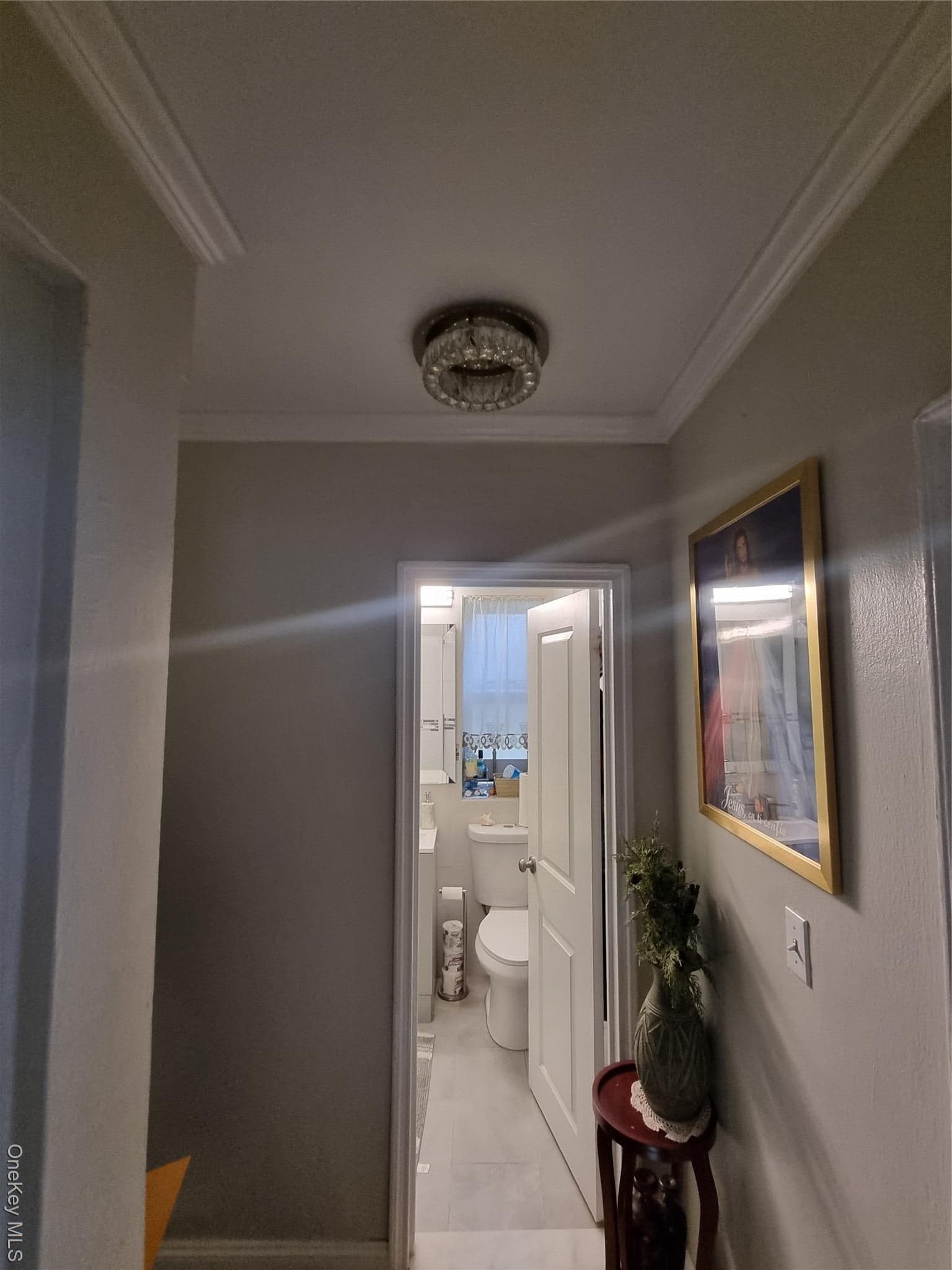141-34 78th Avenue Ave Unit: 1C thumbnail 8