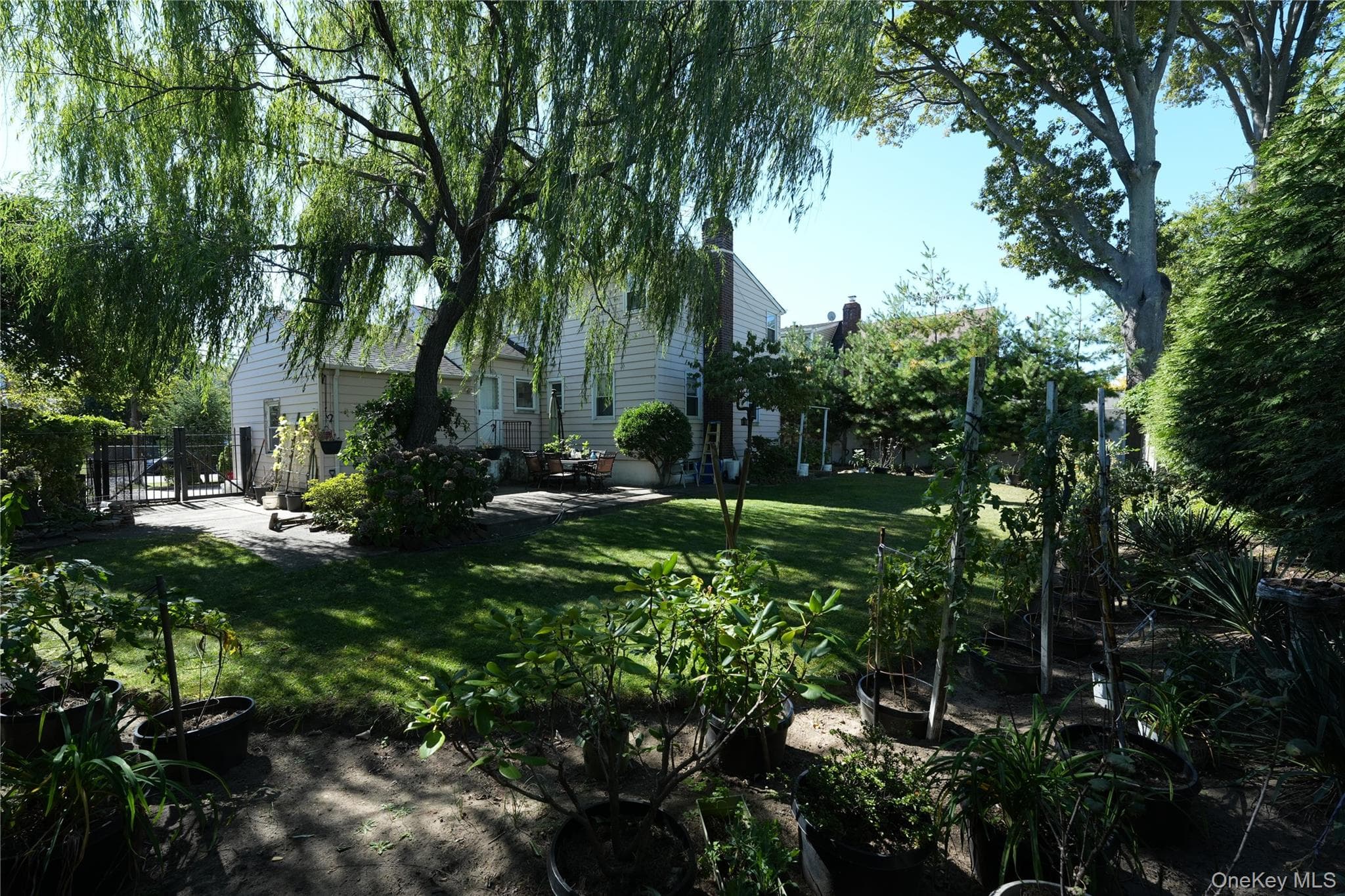 368 Merrifield Avenue thumbnail 20