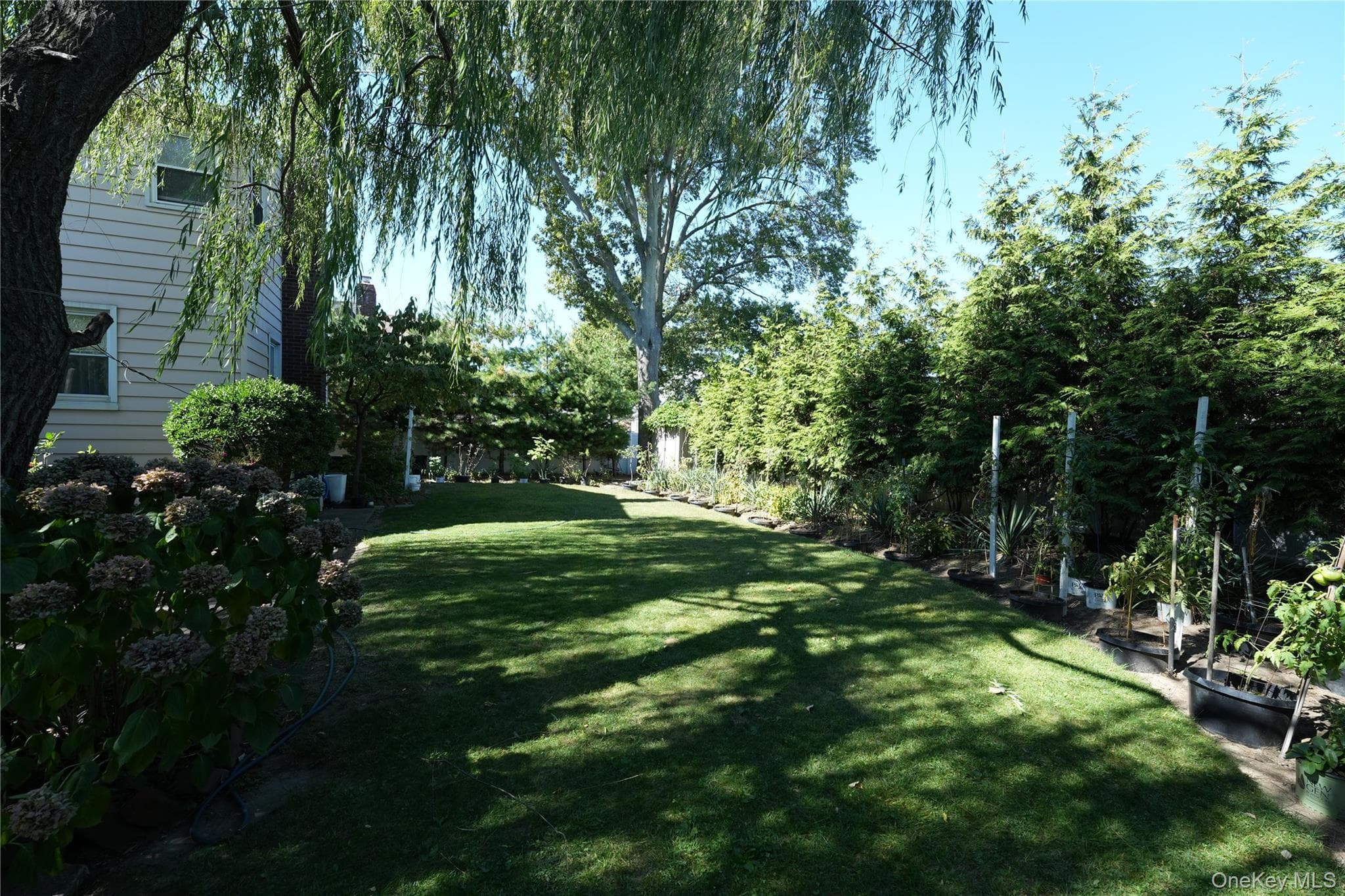 368 Merrifield Avenue thumbnail 18