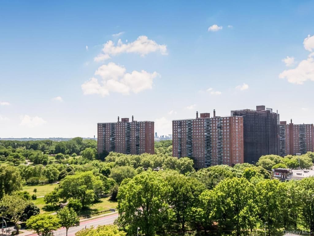 920 Metcalf Avenue Unit: 14J thumbnail 5