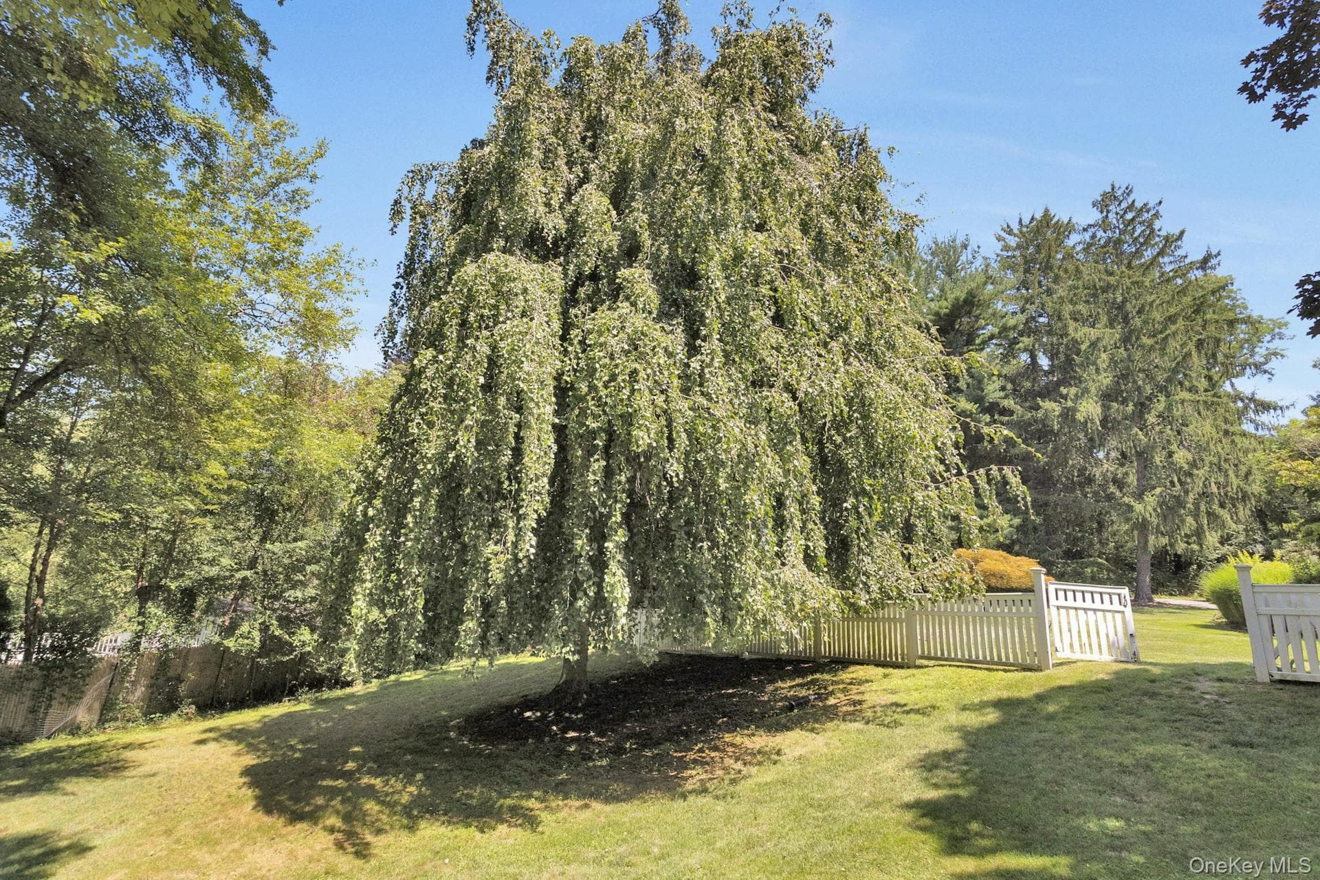 13 Sniffen Road thumbnail 36