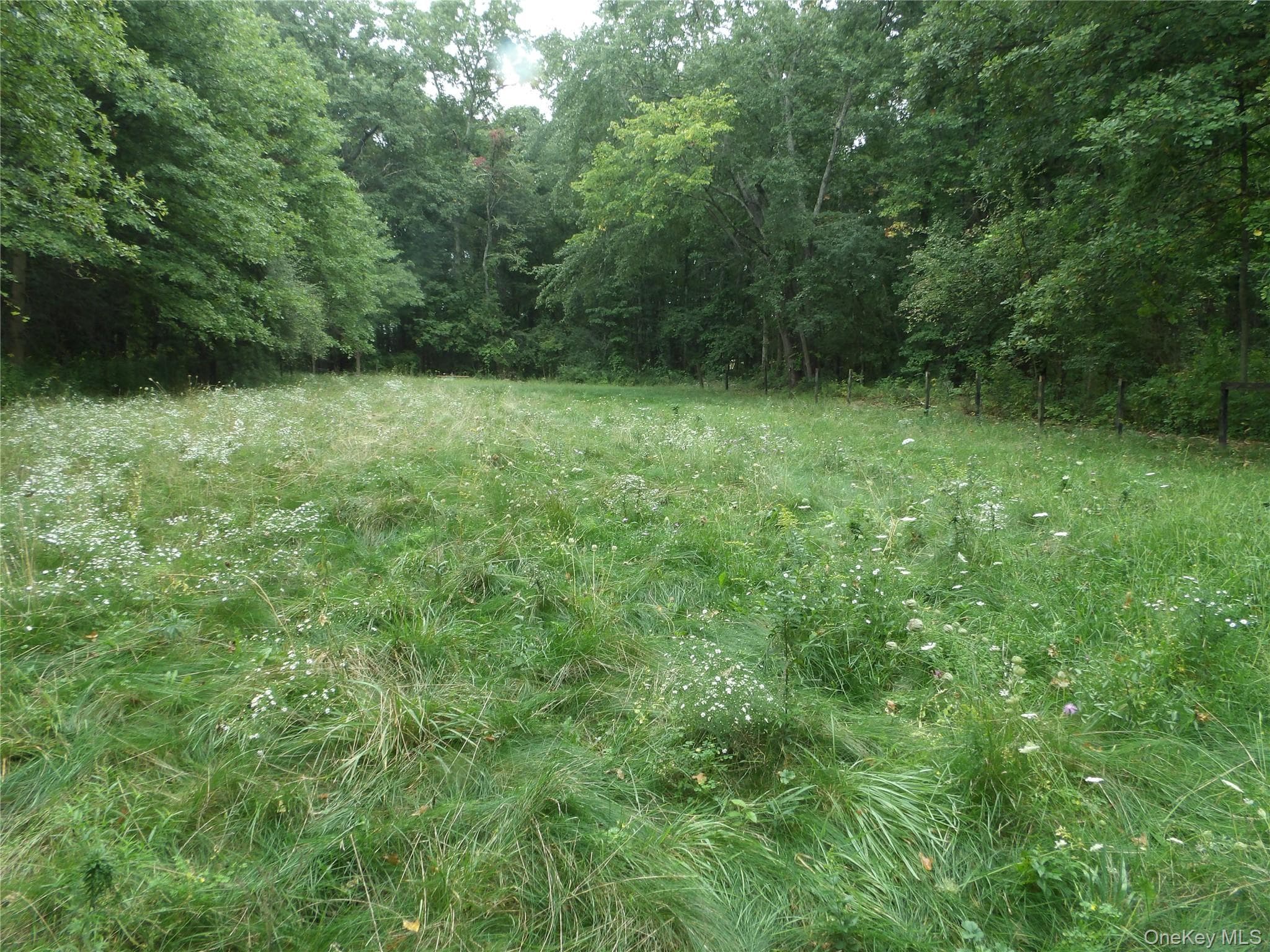 Bull Road thumbnail 6