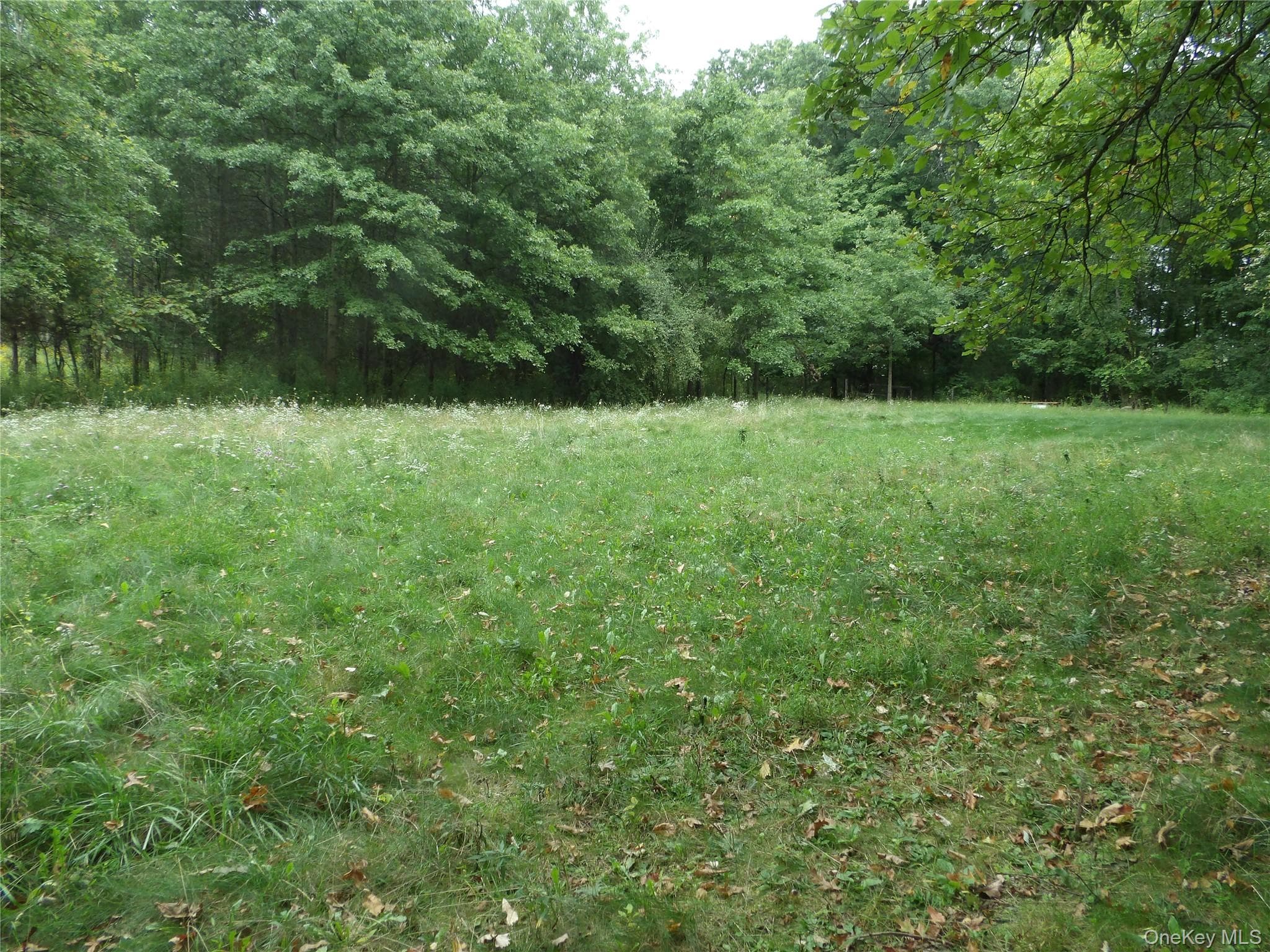 Bull Road thumbnail 8