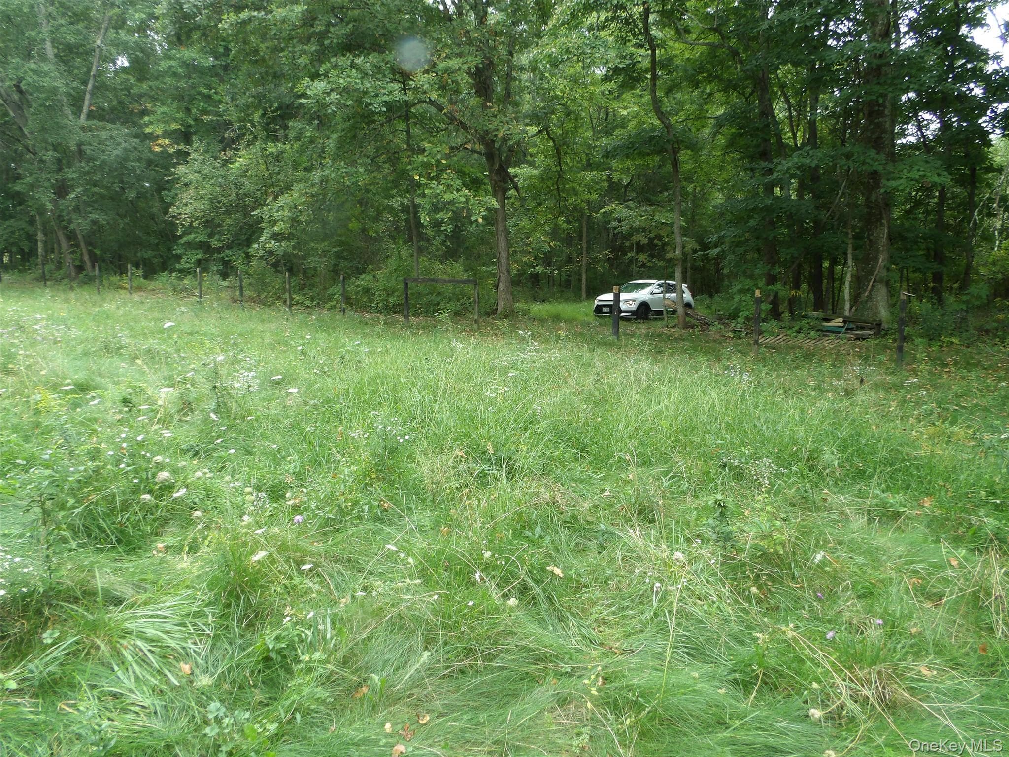 Bull Road thumbnail 5