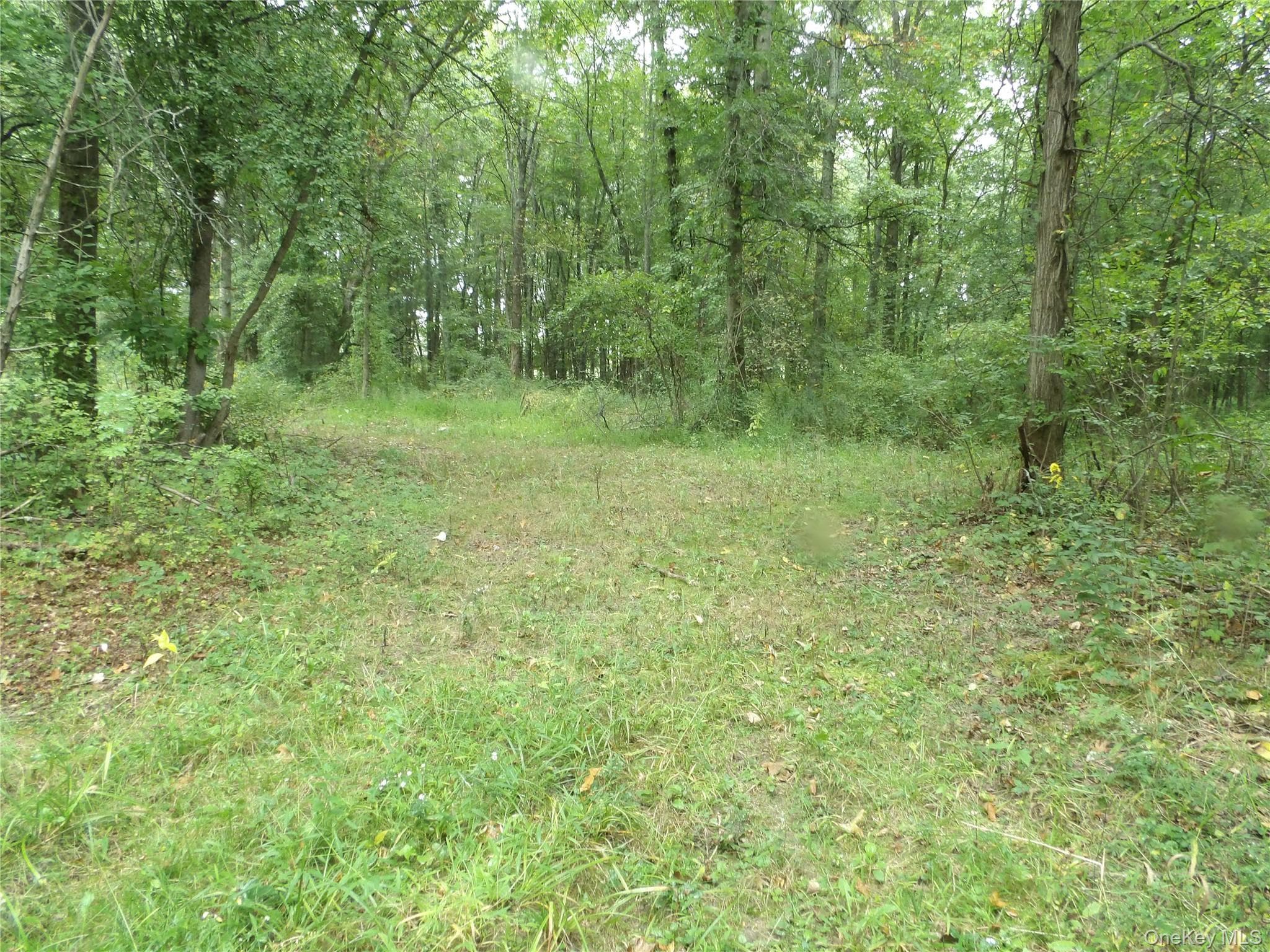 Bull Road thumbnail 4