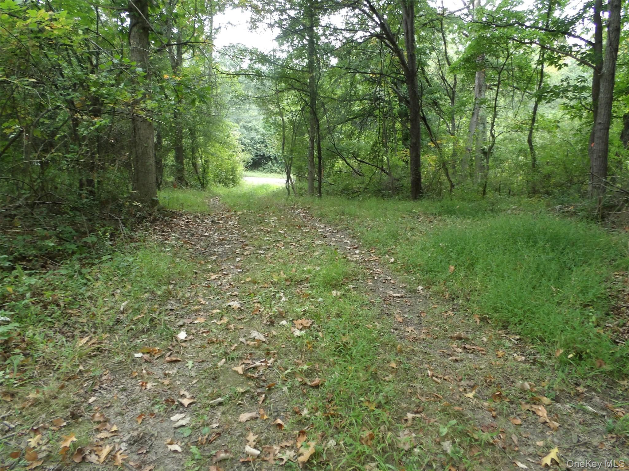 Bull Road thumbnail 9