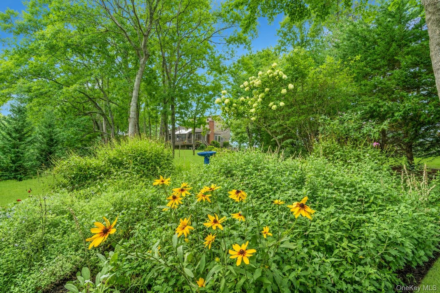 1541 Stillwater Avenue thumbnail 6
