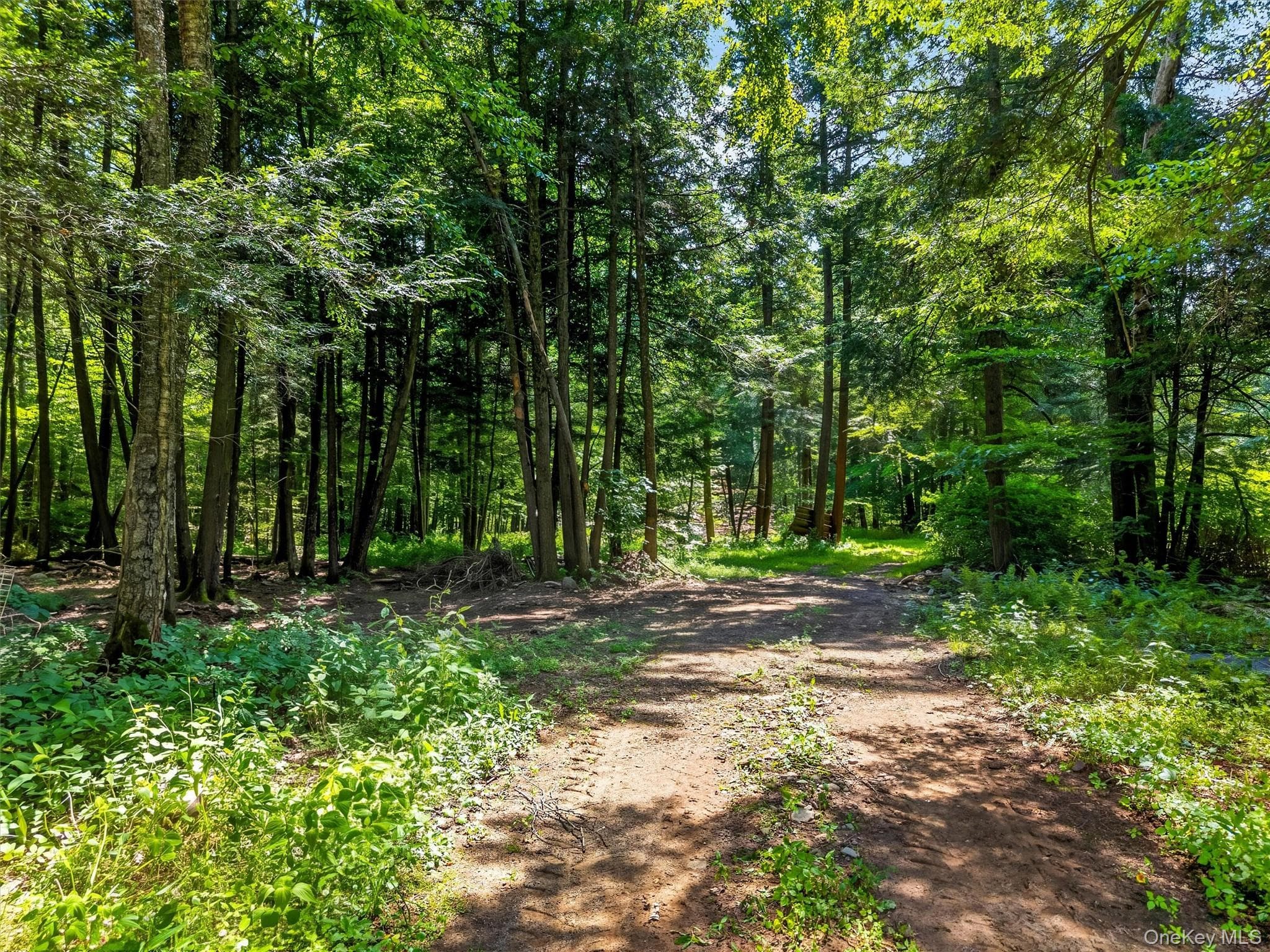 139 Callicoon Center Road thumbnail 12