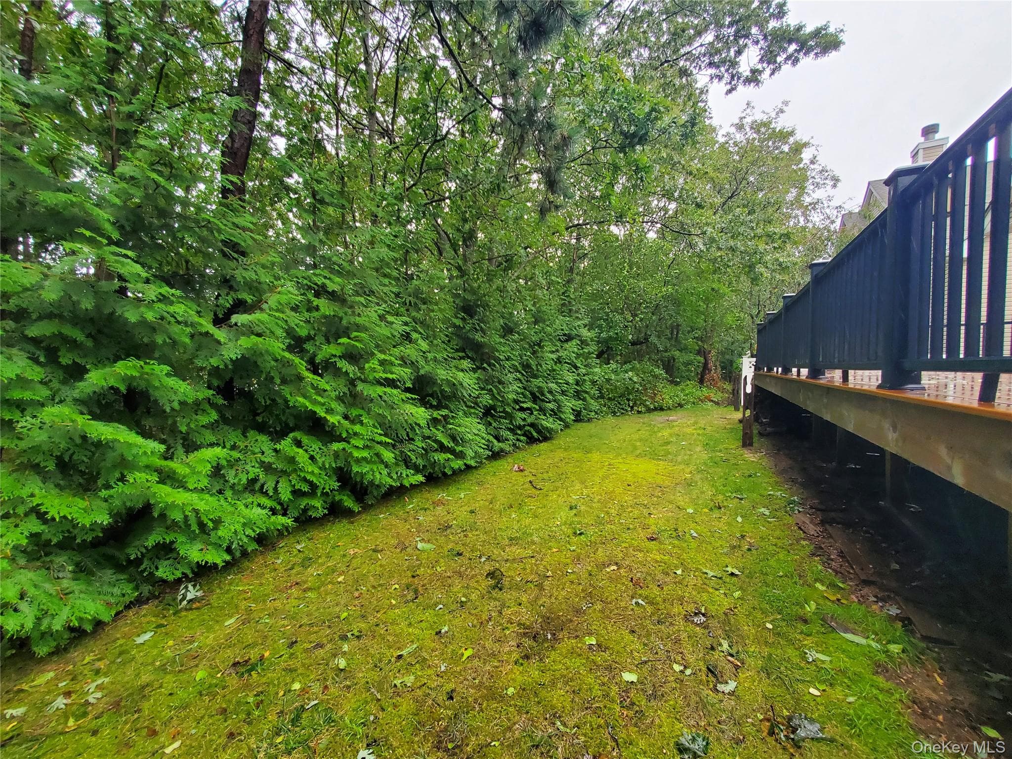 41 Sunflower Ridge Road thumbnail 37