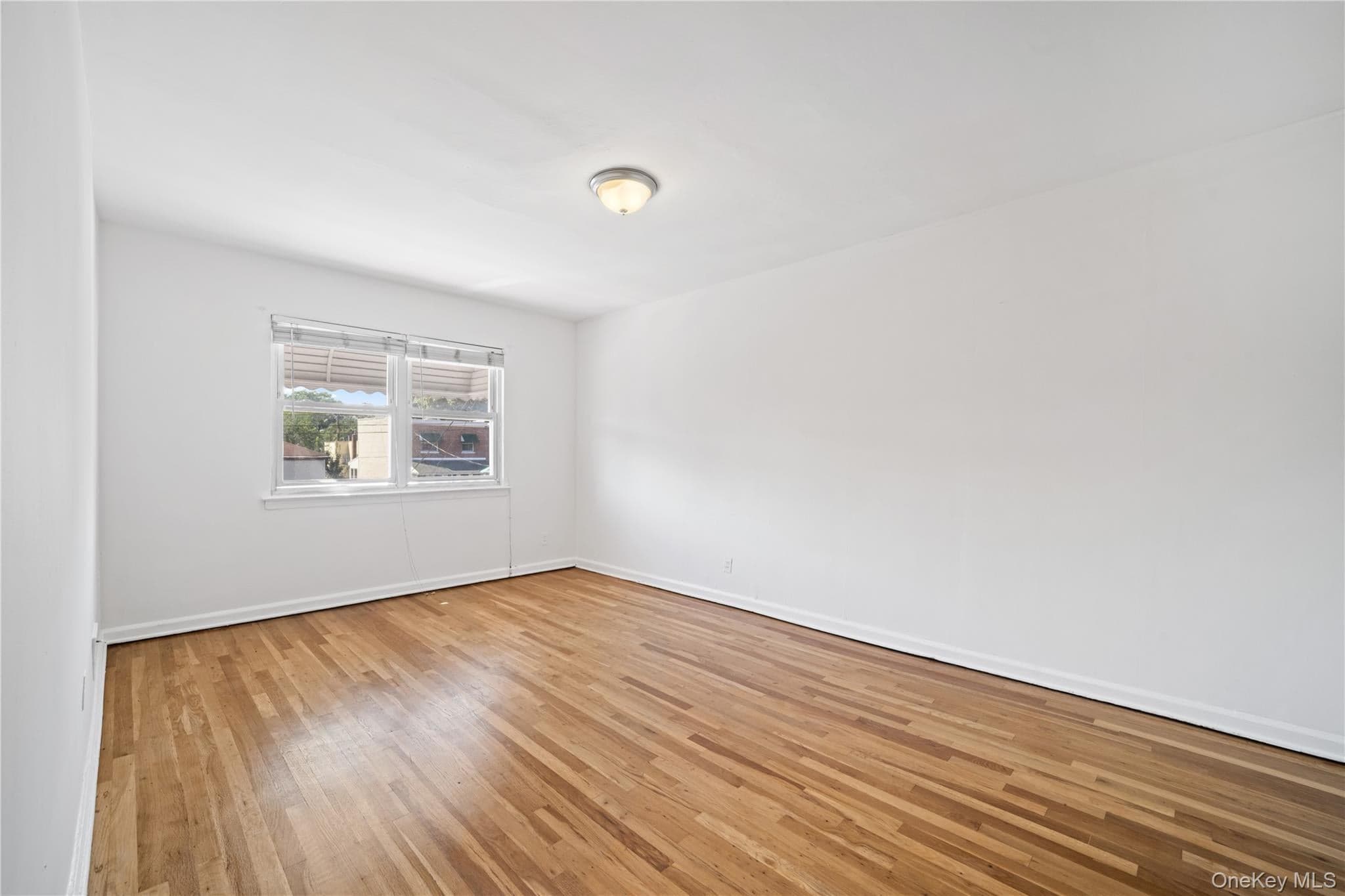 1047 E 217th Street thumbnail 17