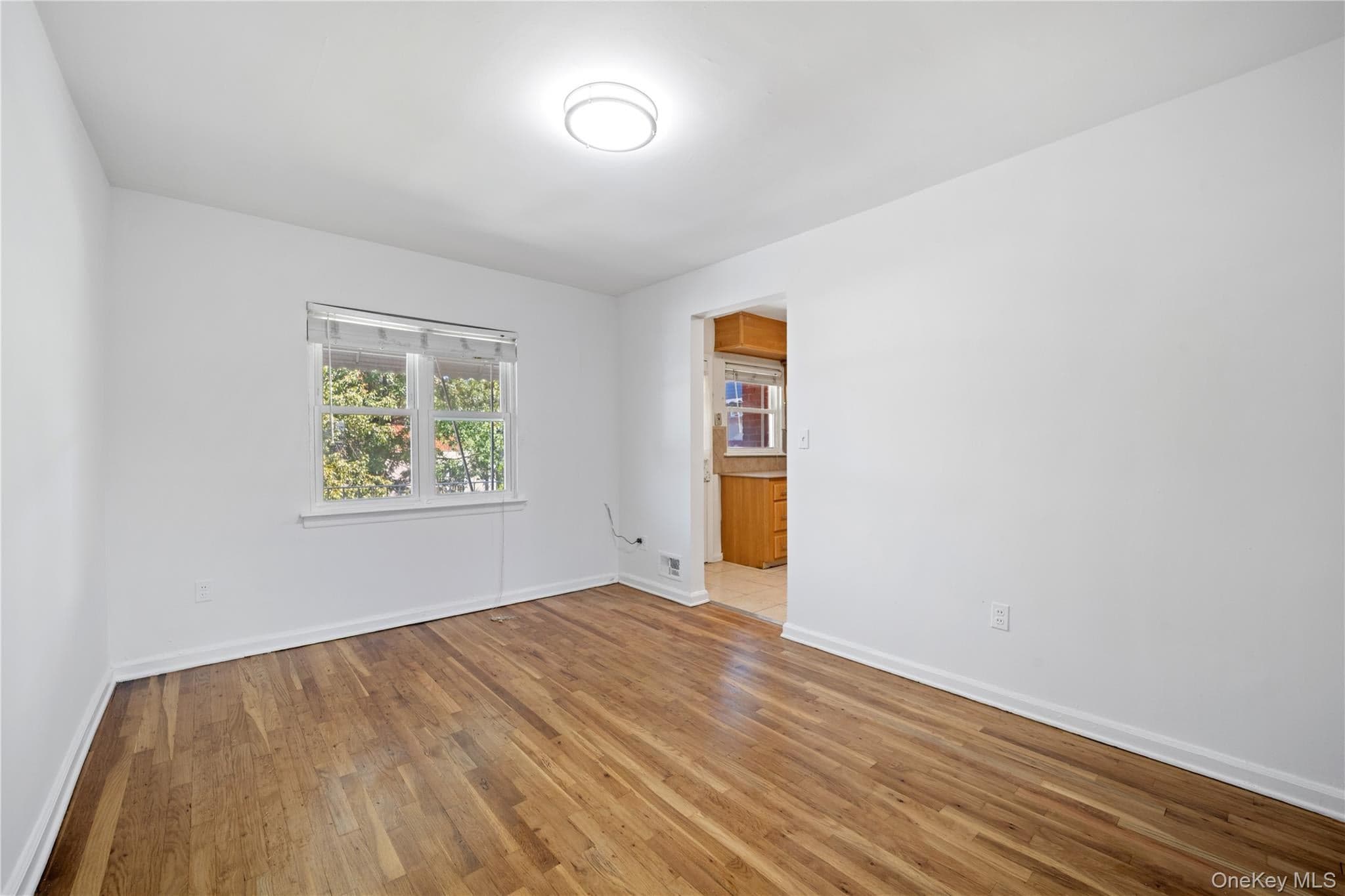 1047 E 217th Street thumbnail 11