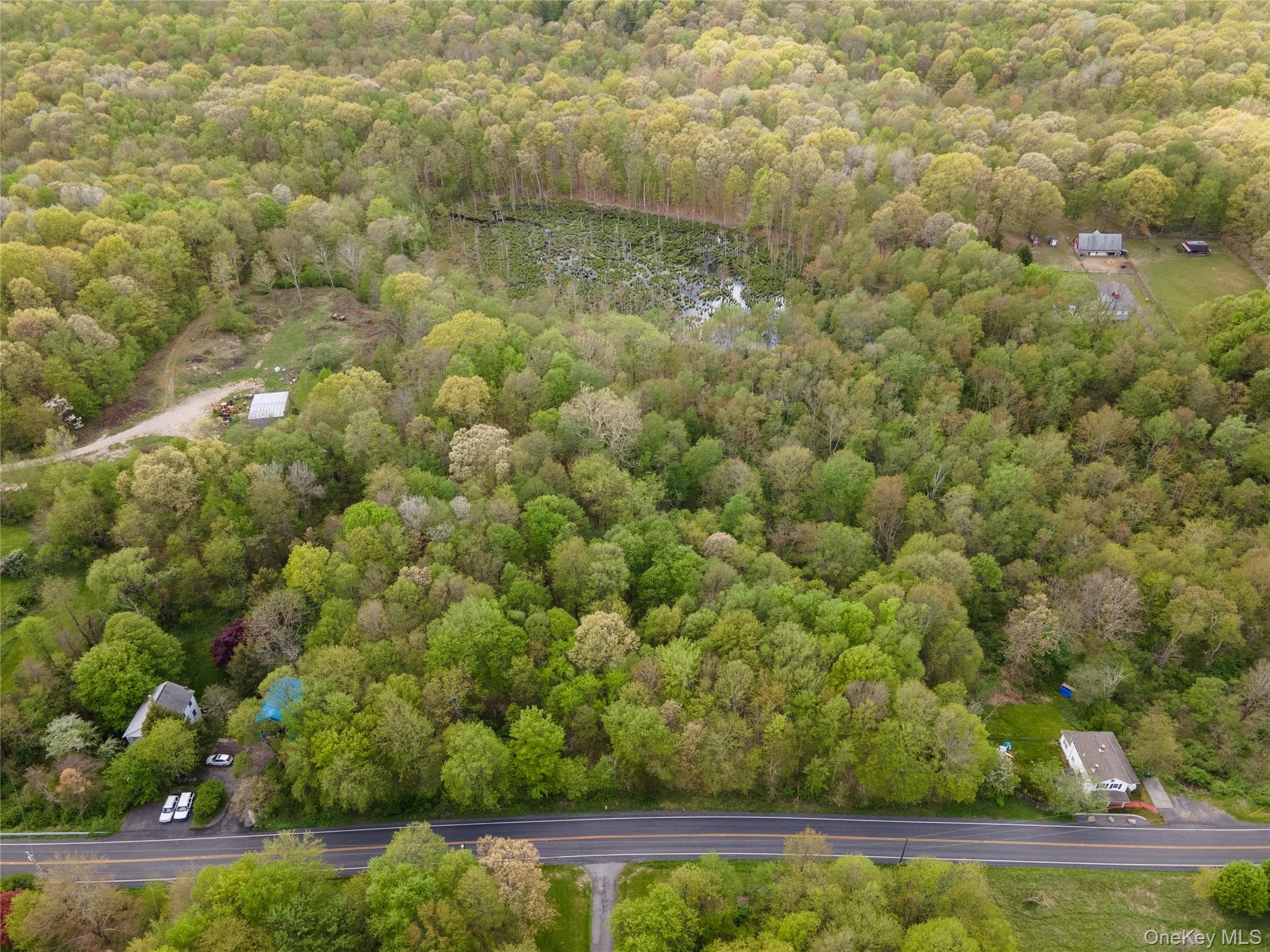 213 Tuckers Corners Road thumbnail 17