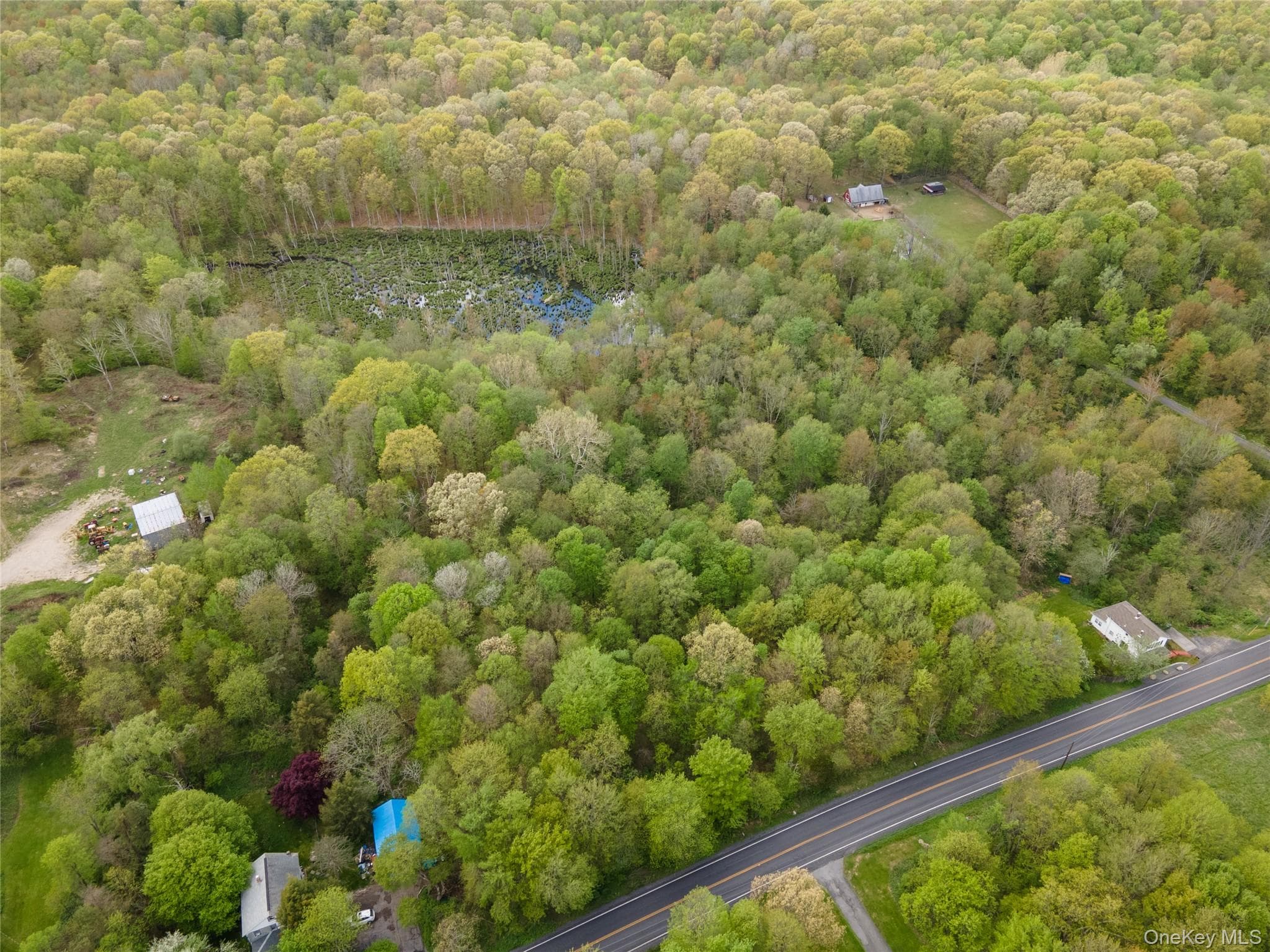 213 Tuckers Corners Road thumbnail 15