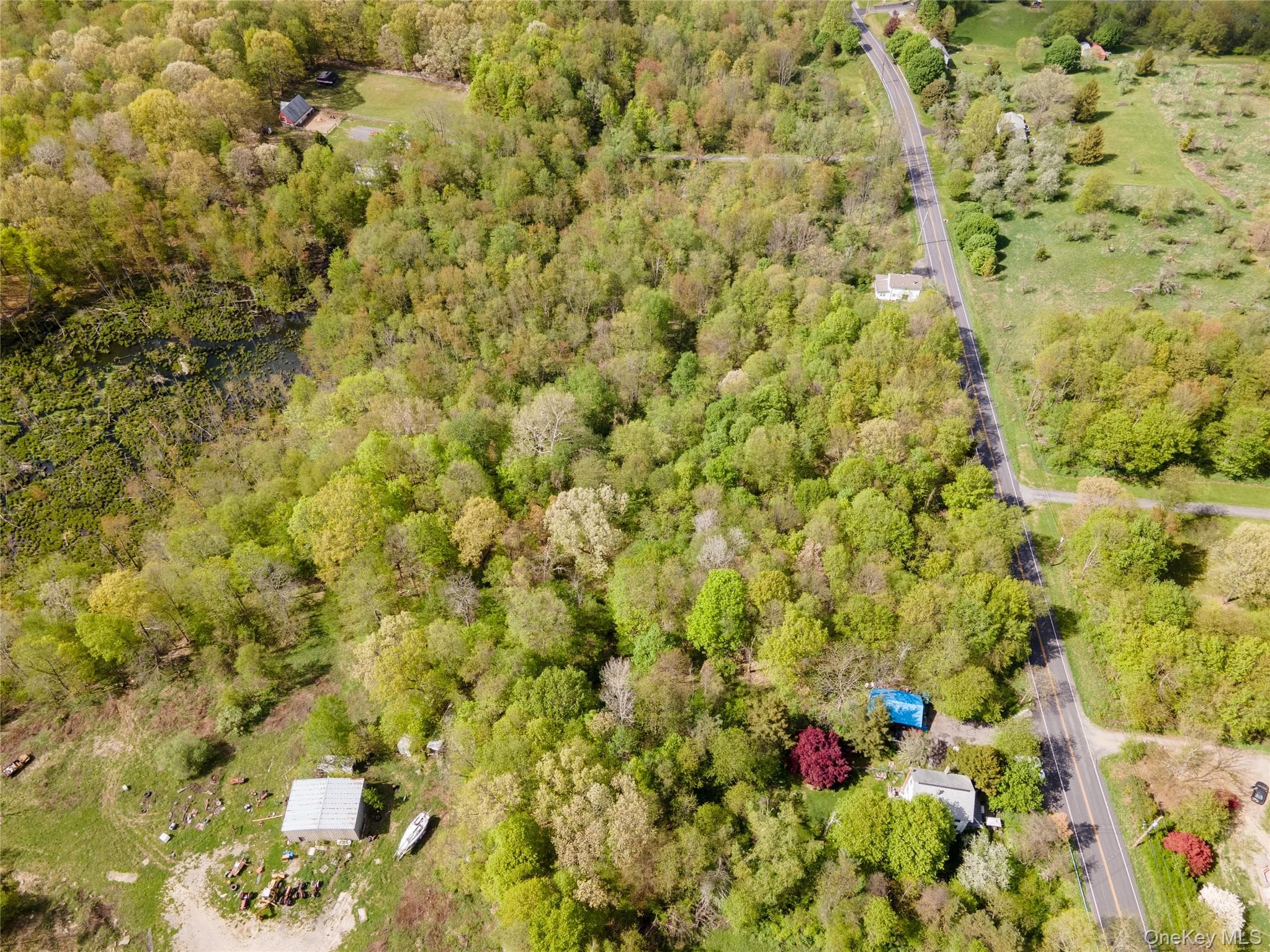 213 Tuckers Corners Road thumbnail 14