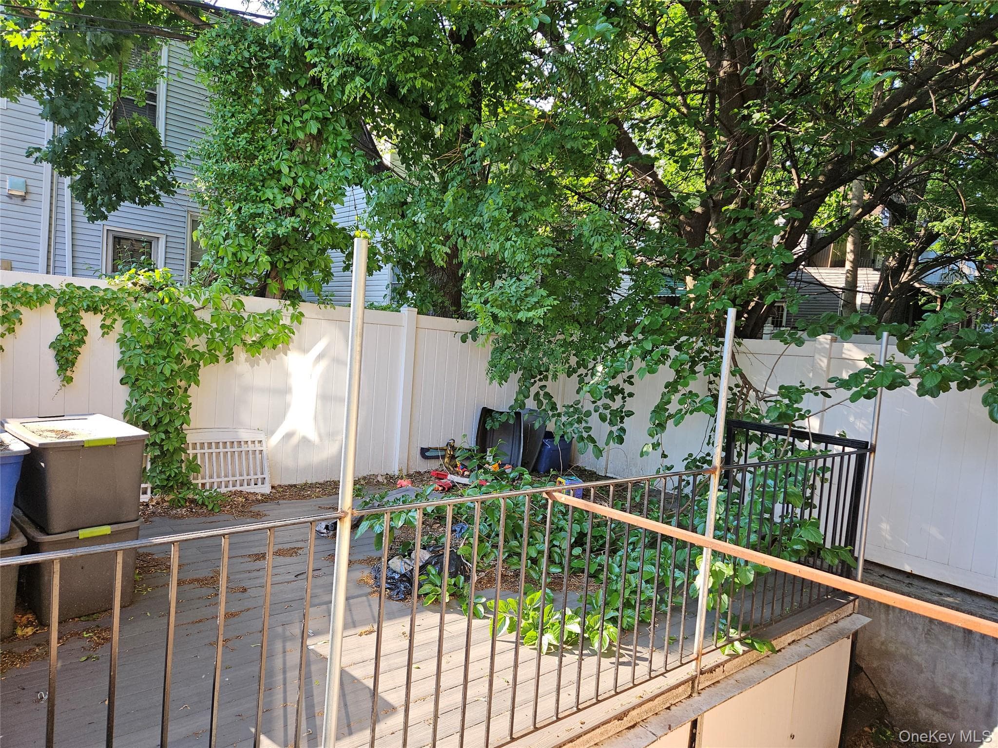 1297 Clay Avenue thumbnail 19