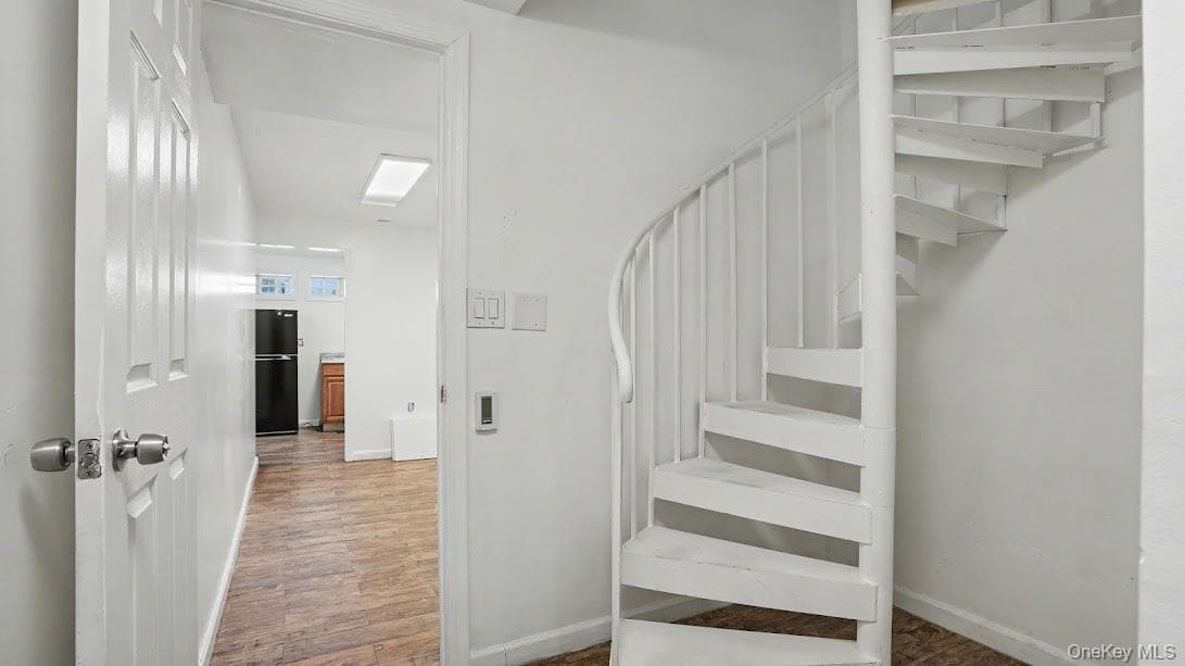 254 Zerega Avenue thumbnail 29