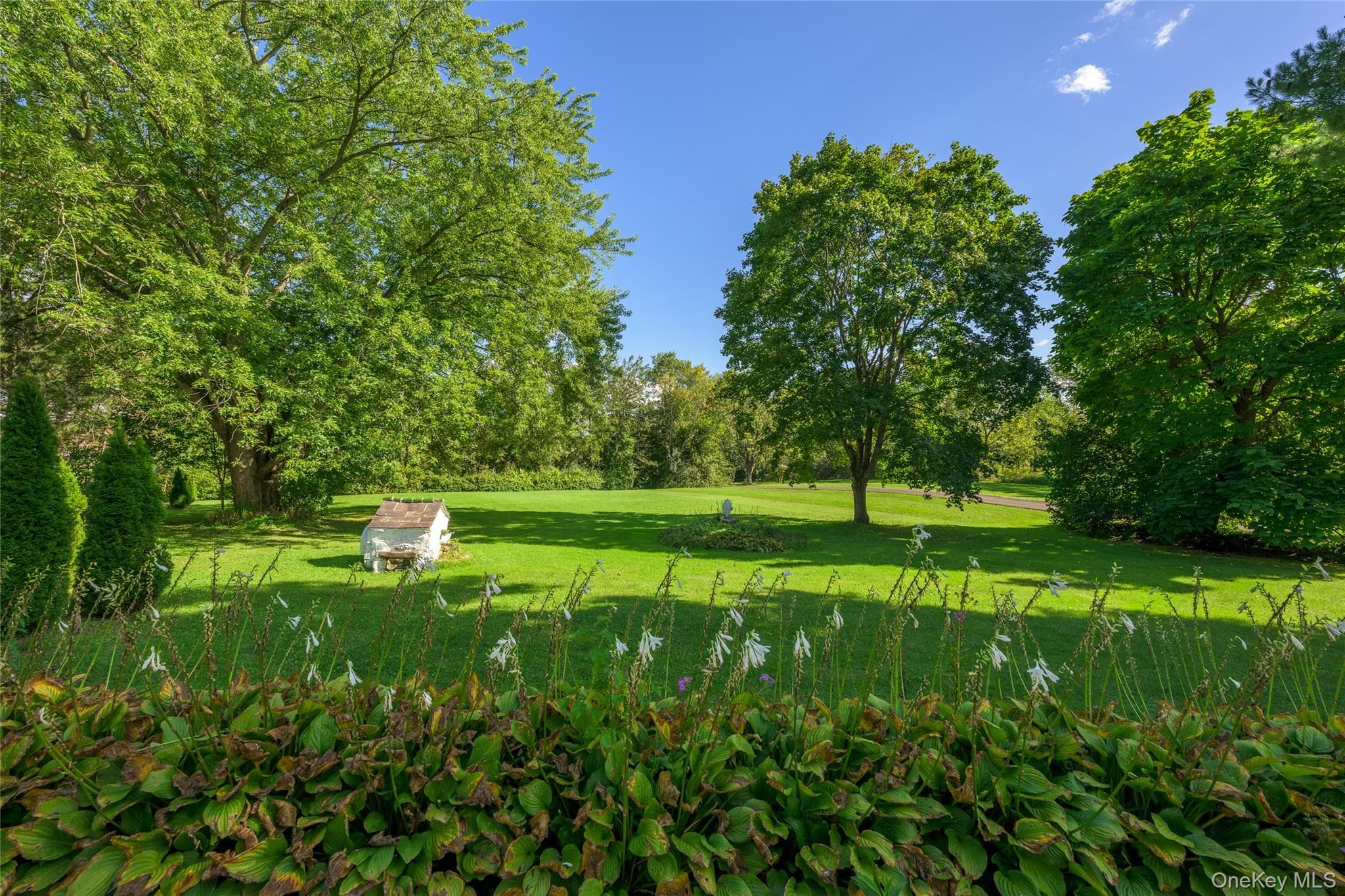 1166 Woods Road thumbnail 7