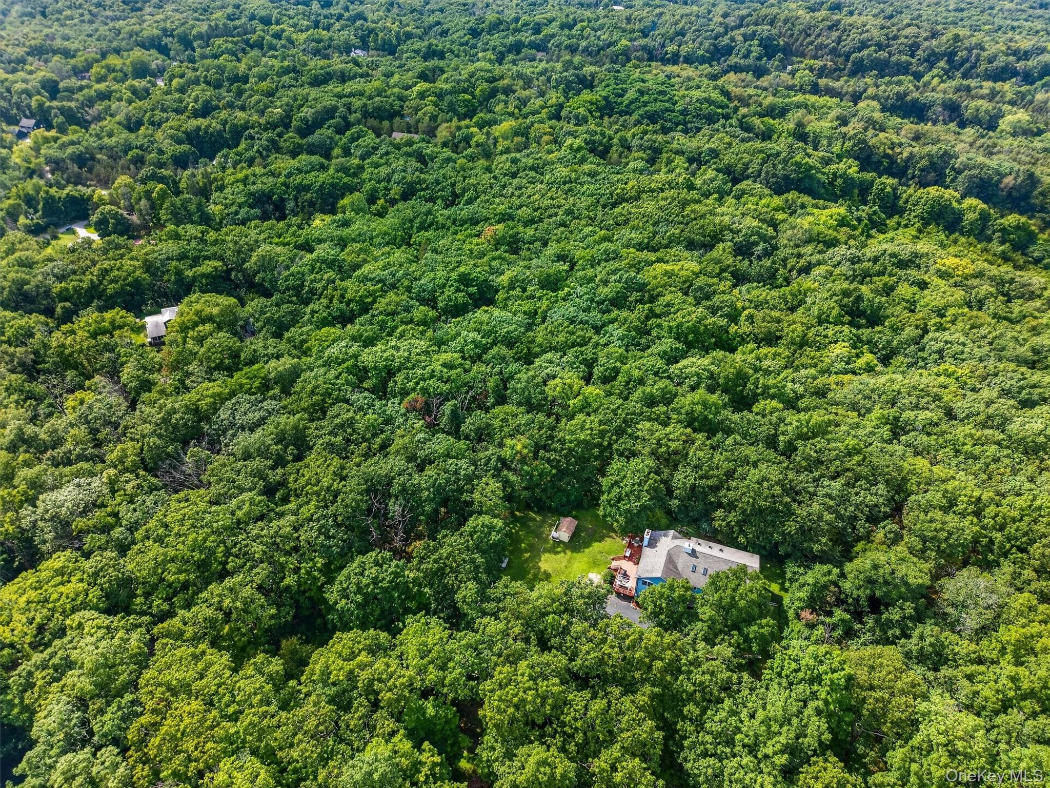 65 Oxford Springs Road thumbnail 33