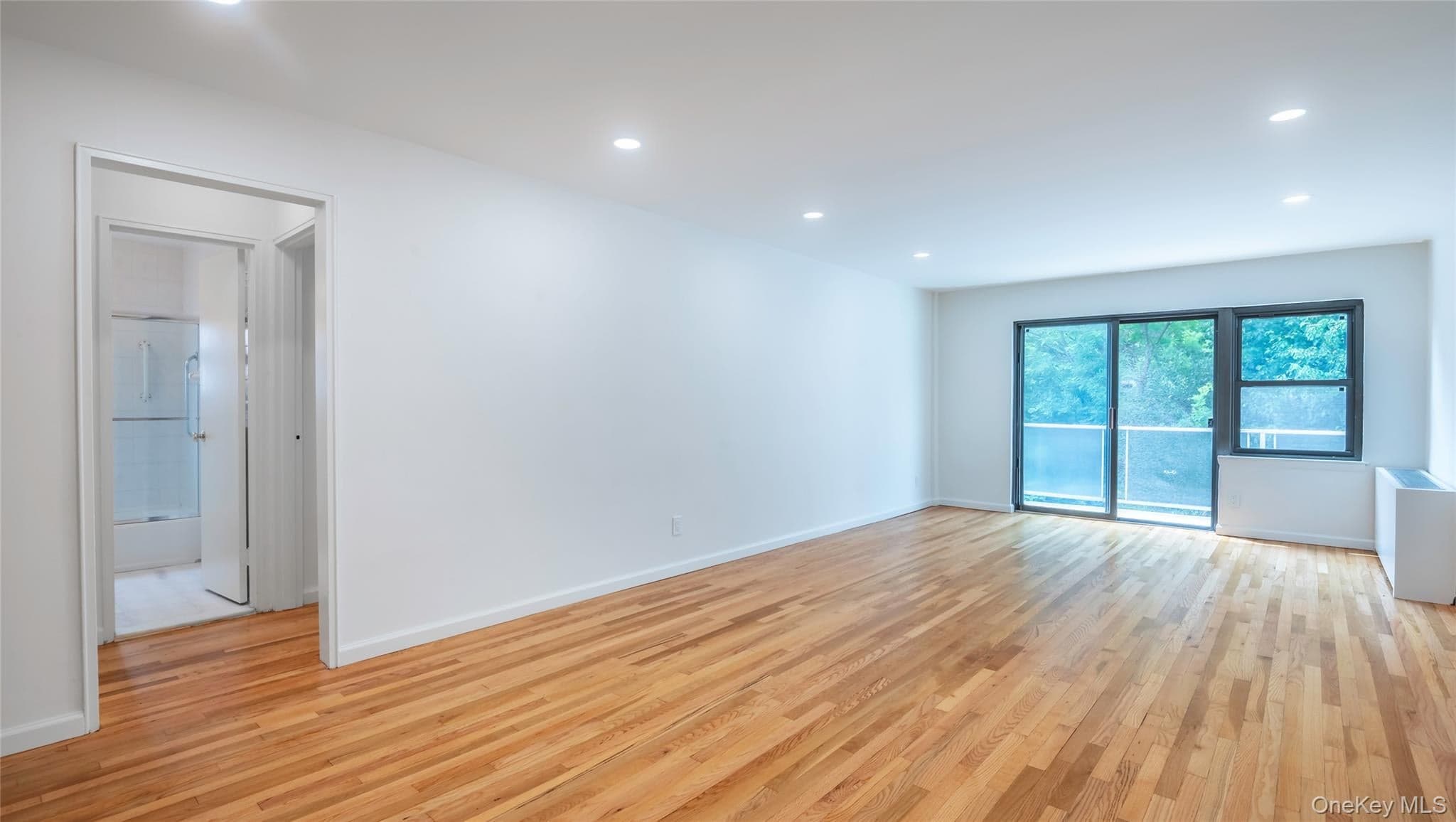 20 Canterbury Road Unit: 3A thumbnail 11