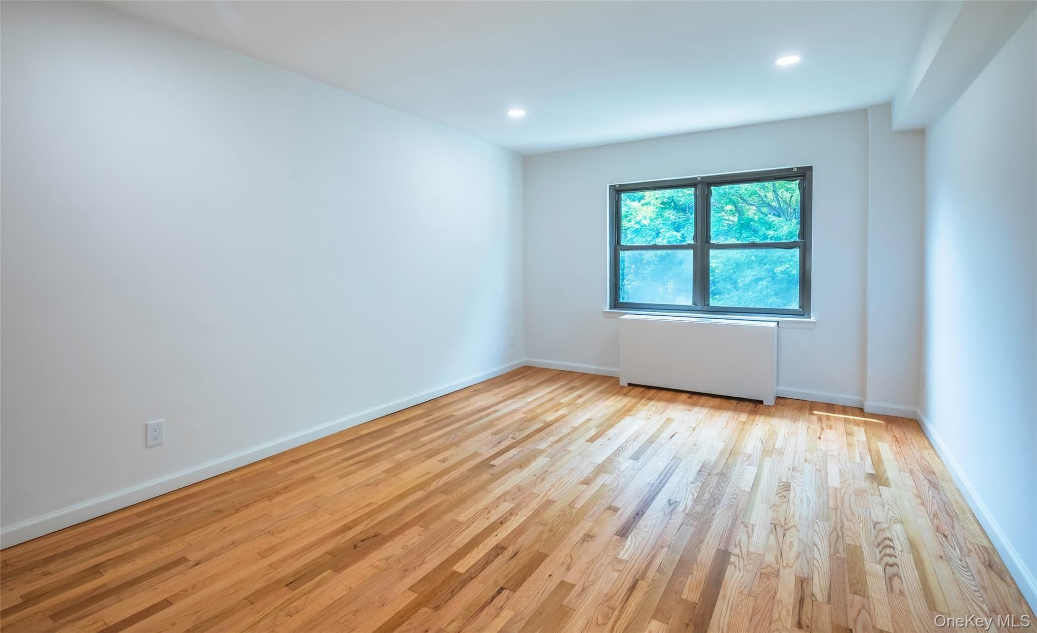 20 Canterbury Road Unit: 3A thumbnail 19