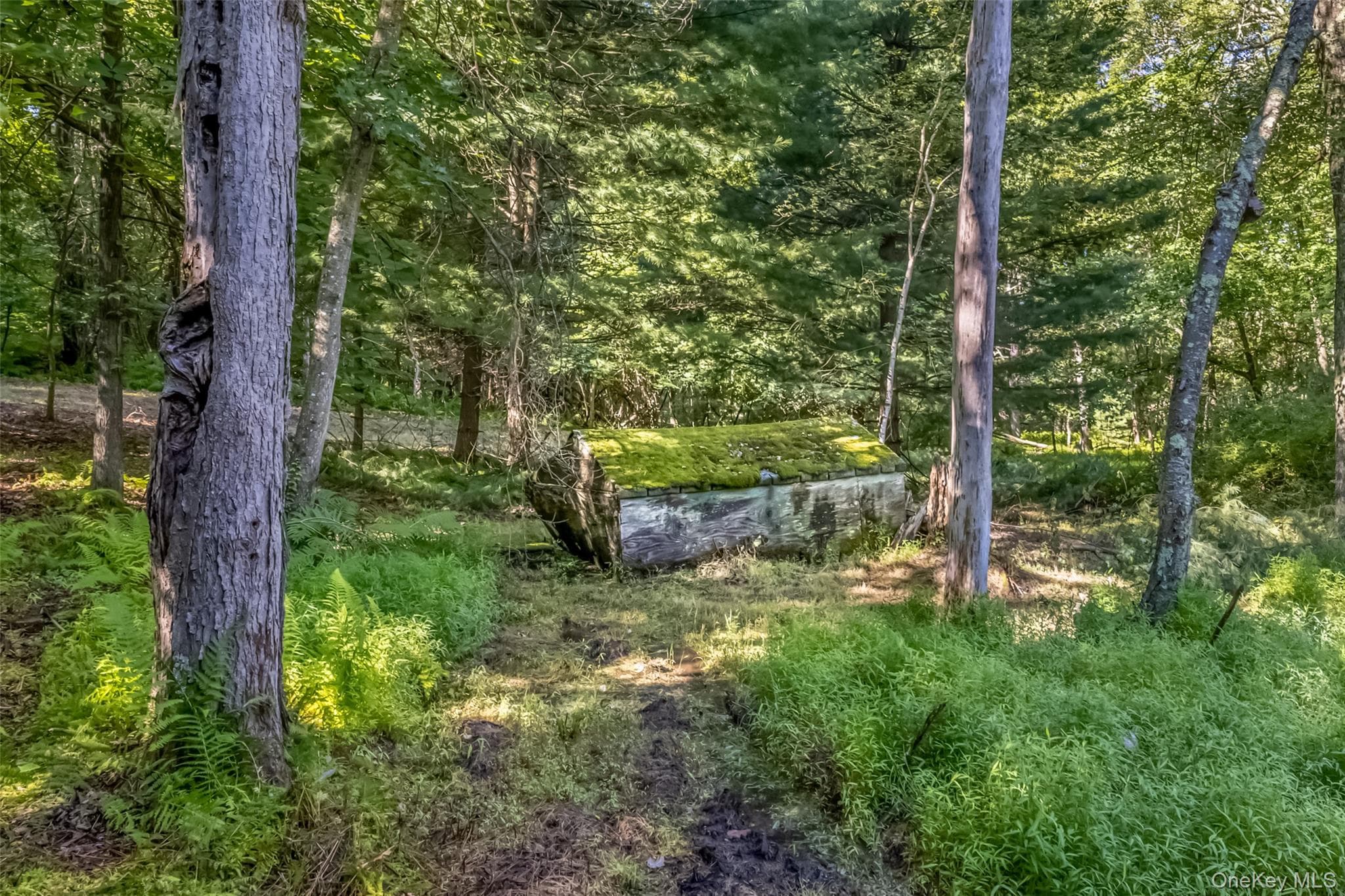 Old Plank Road thumbnail 14
