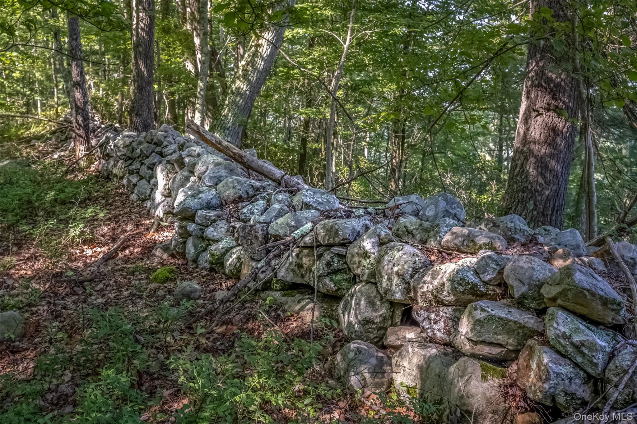 Old Plank Road thumbnail 16