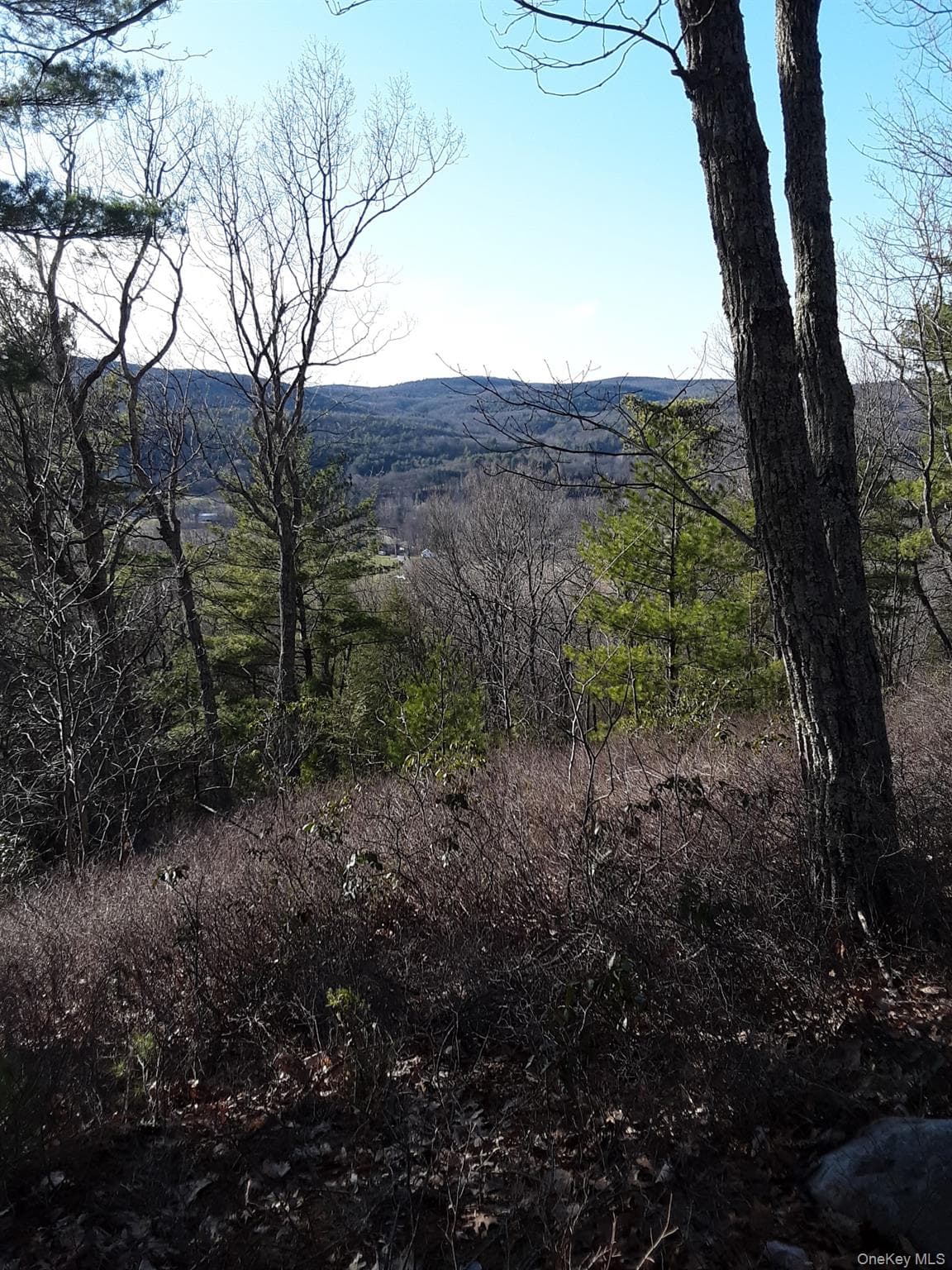 Old Plank Road thumbnail 17