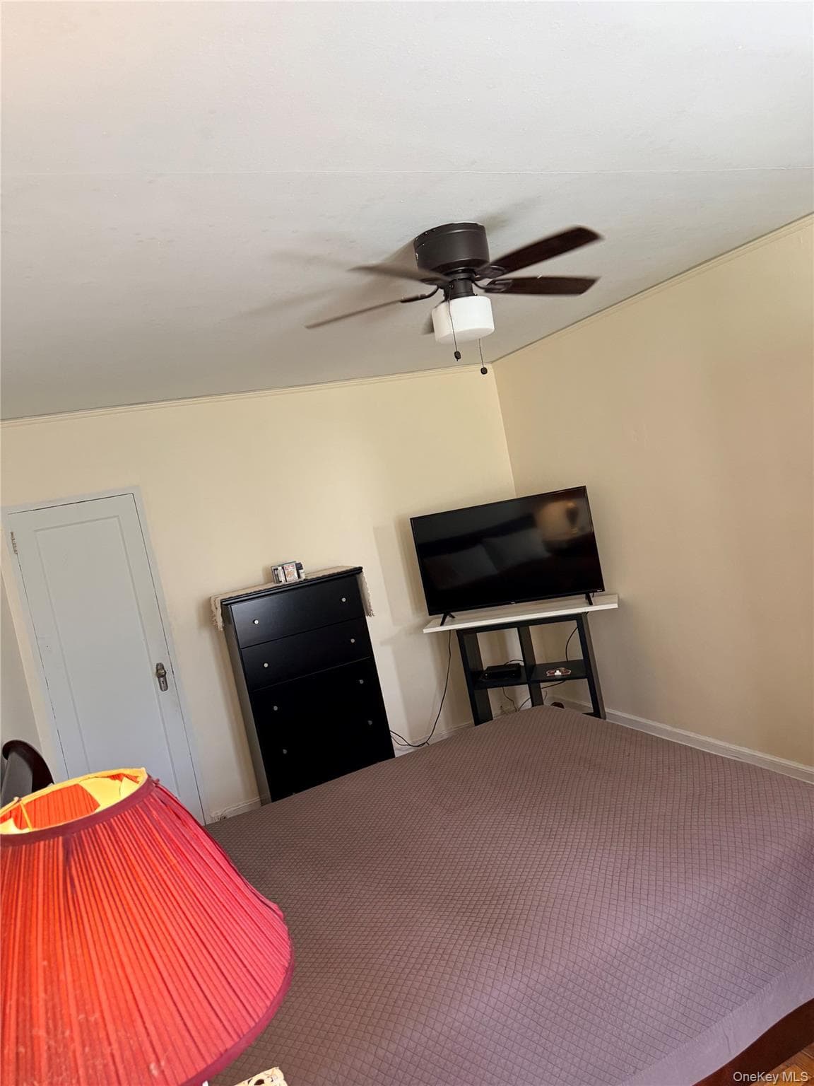 101 Ellwood Avenue Unit: 1C thumbnail 10
