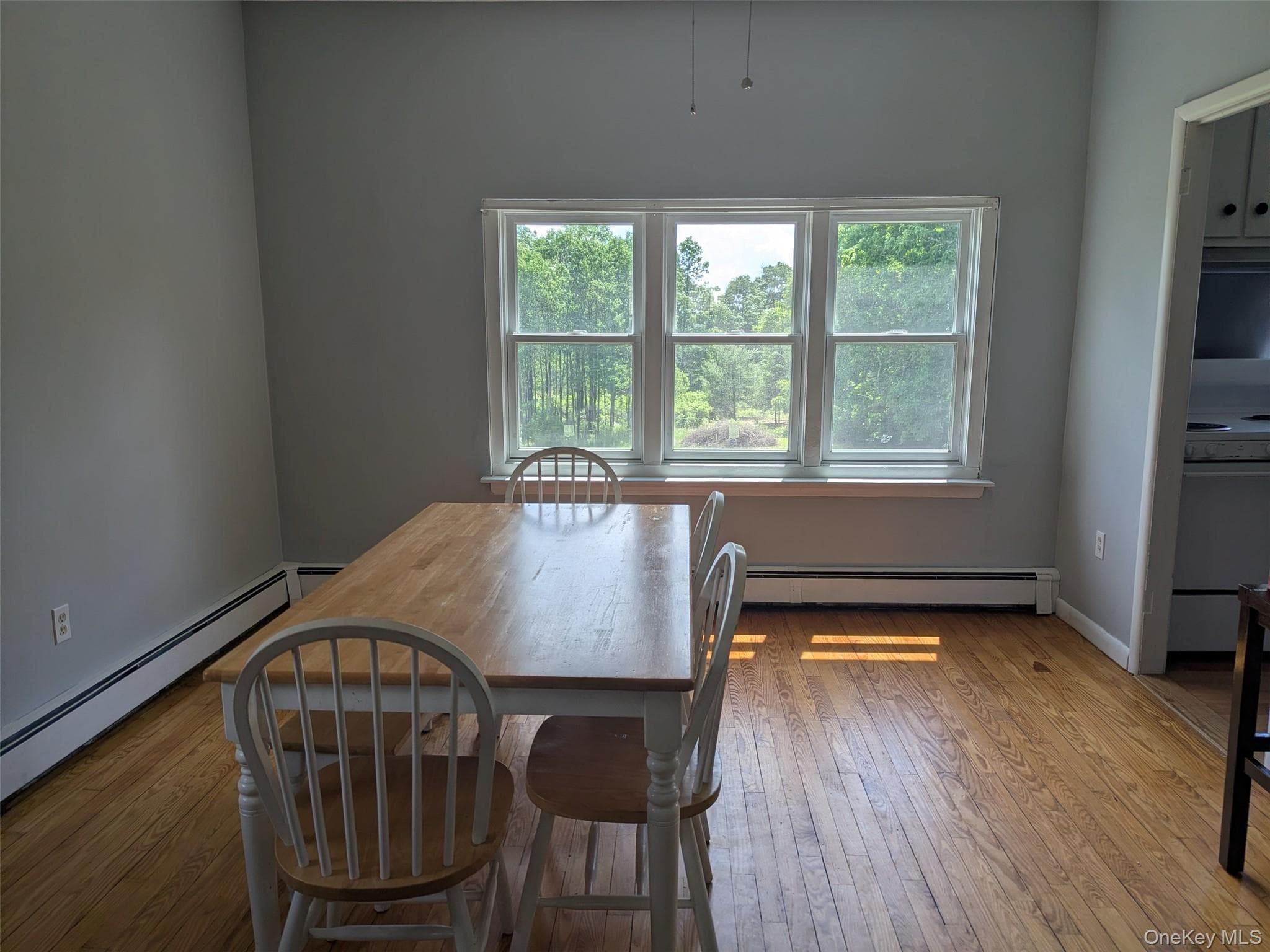 97 Rauch Road thumbnail 18