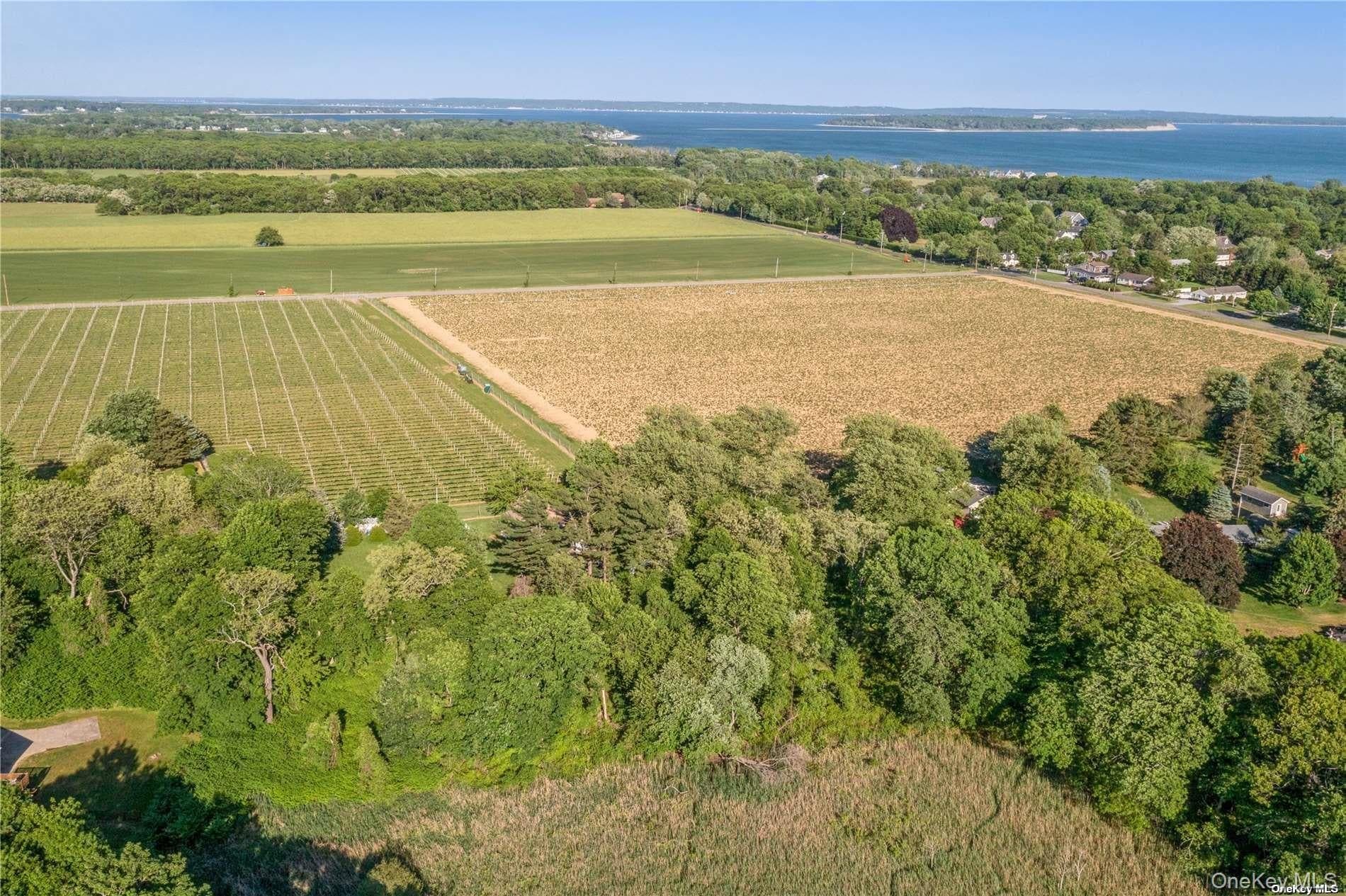 955 Blossom Bend Bnd thumbnail 5