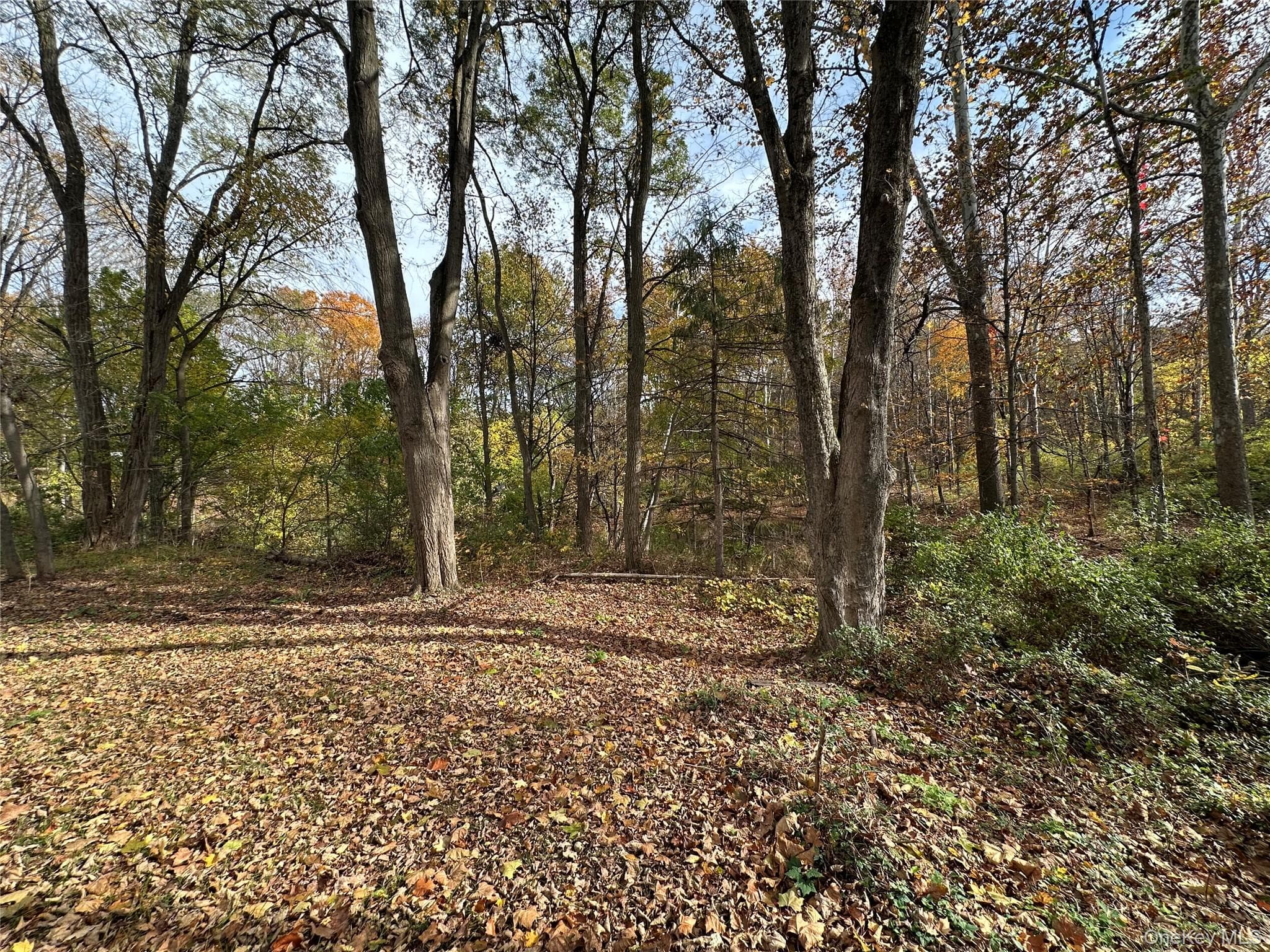 5150 Route 82 thumbnail 13