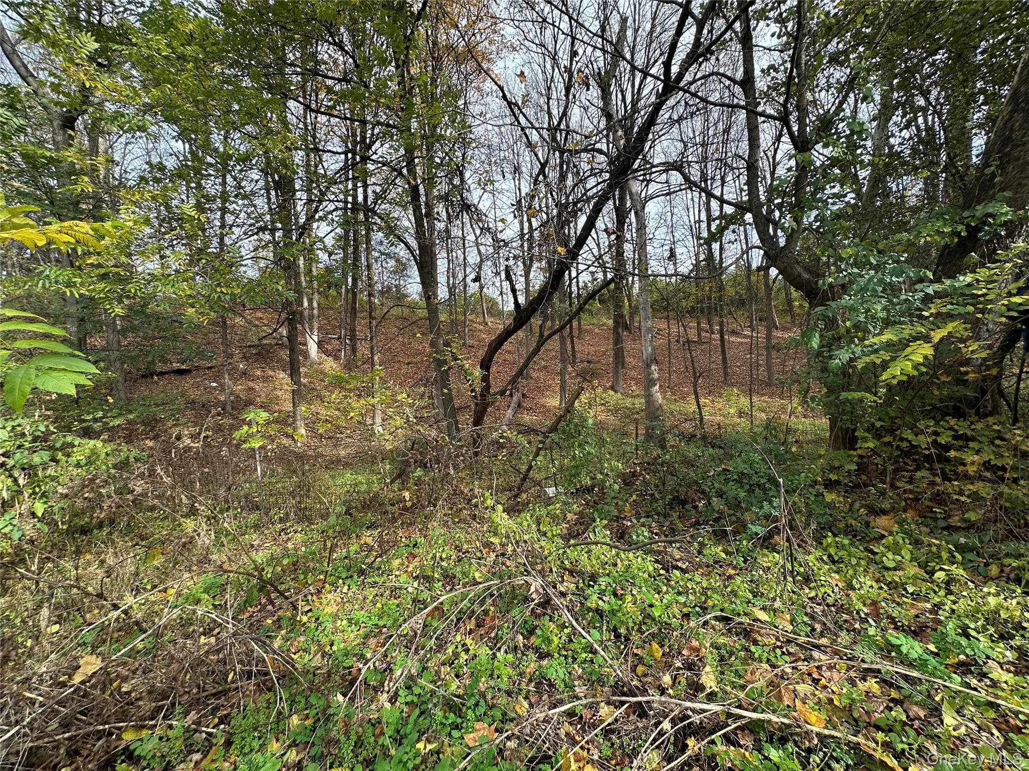 5150 Route 82 thumbnail 9