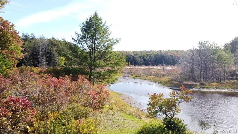 Seeman Road, Neversink