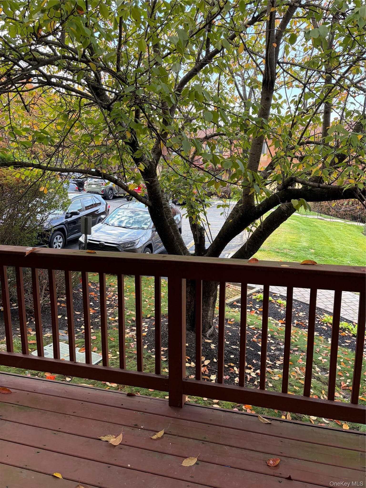 253 Richard Court thumbnail 31