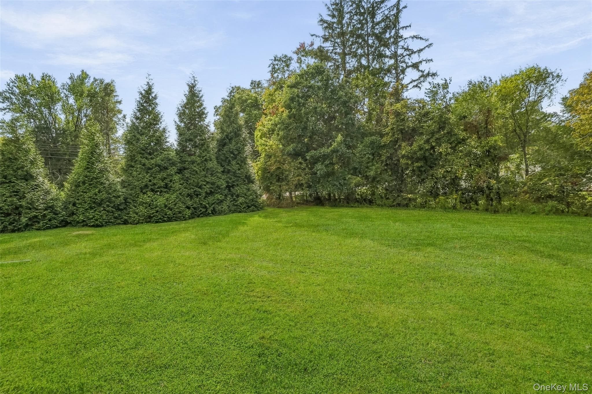929 Freedom Plains Road thumbnail 45