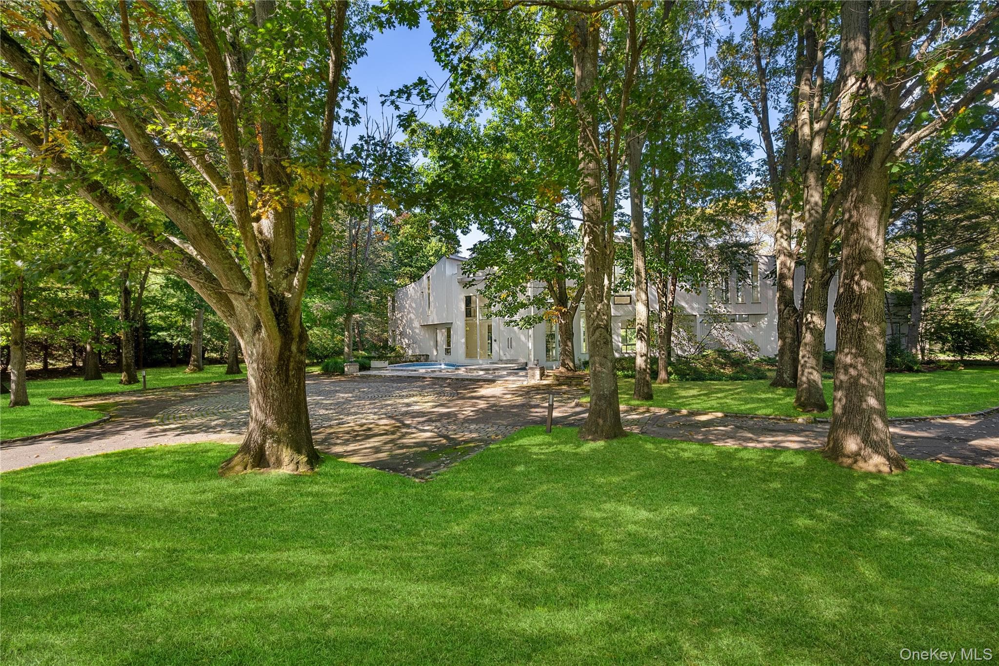 11 Surrey Lane thumbnail 2