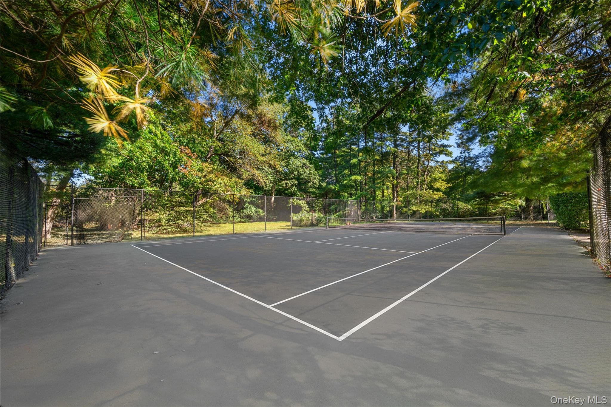 11 Surrey Lane thumbnail 47