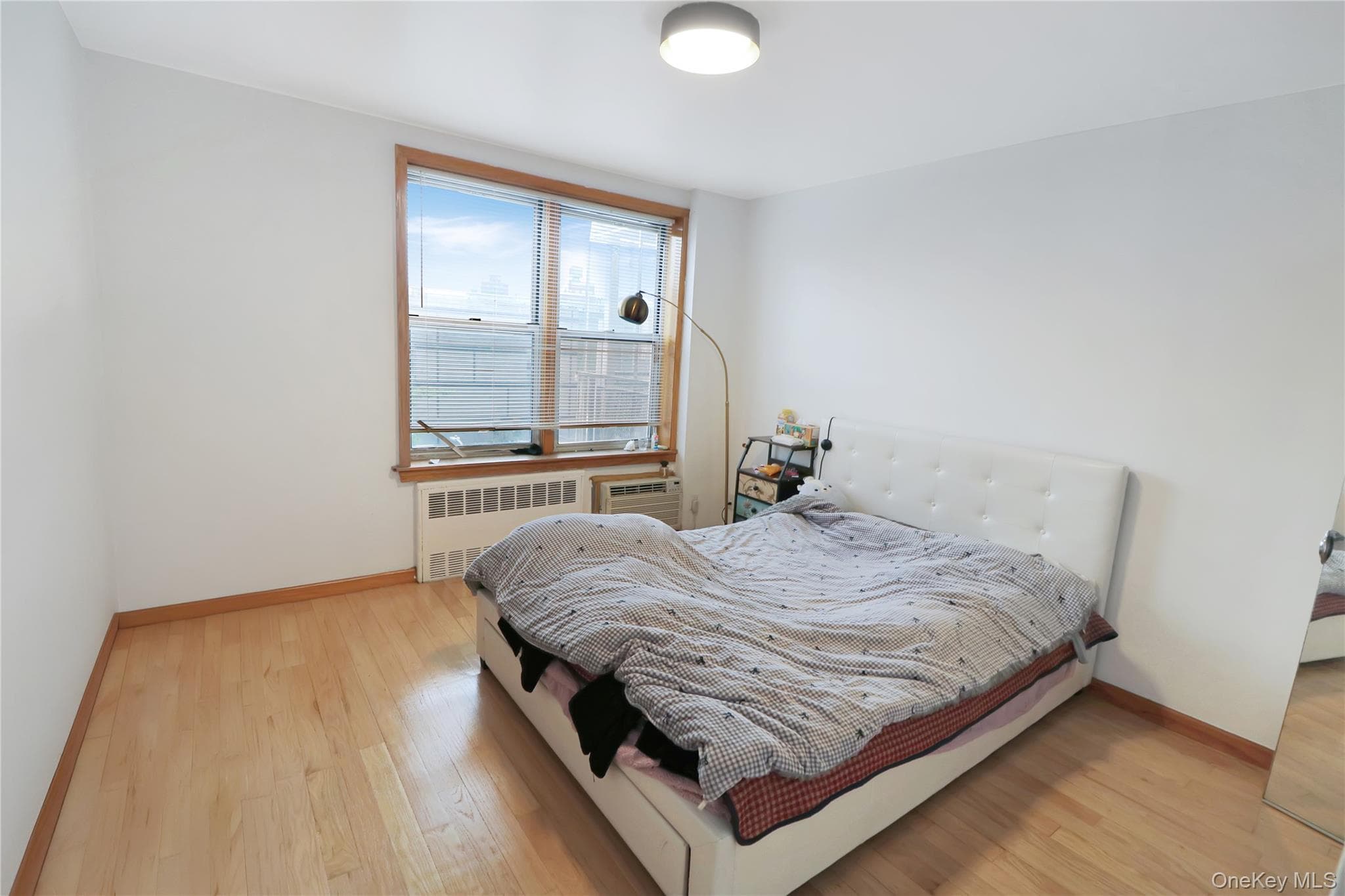 4125 Kissena Boulevard Unit: 2T thumbnail 7