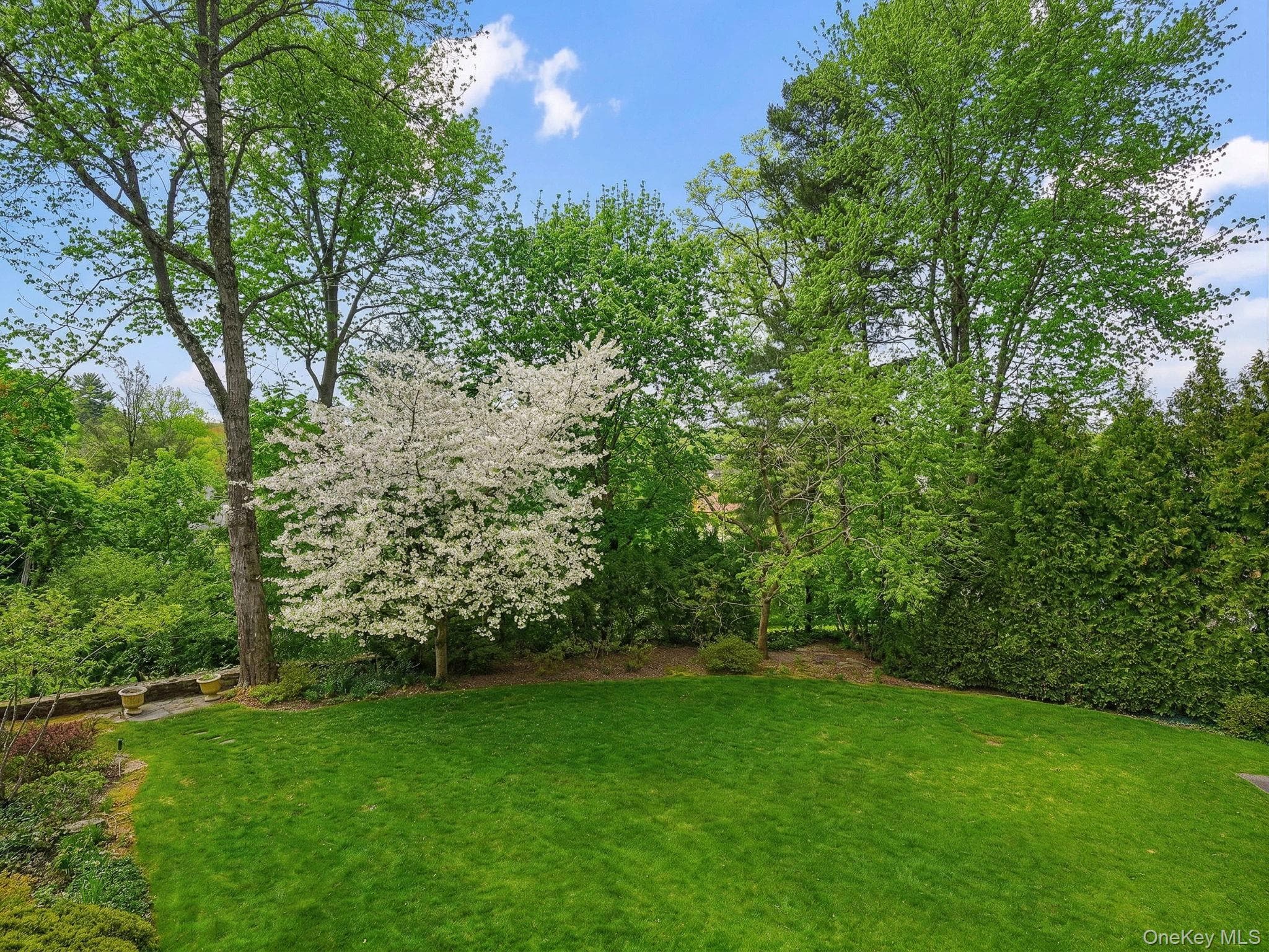 15 Hemlock Road thumbnail 25