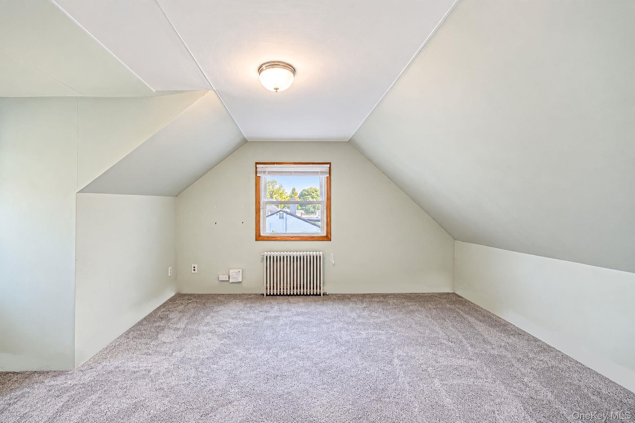 1041 Joselson Avenue thumbnail 21