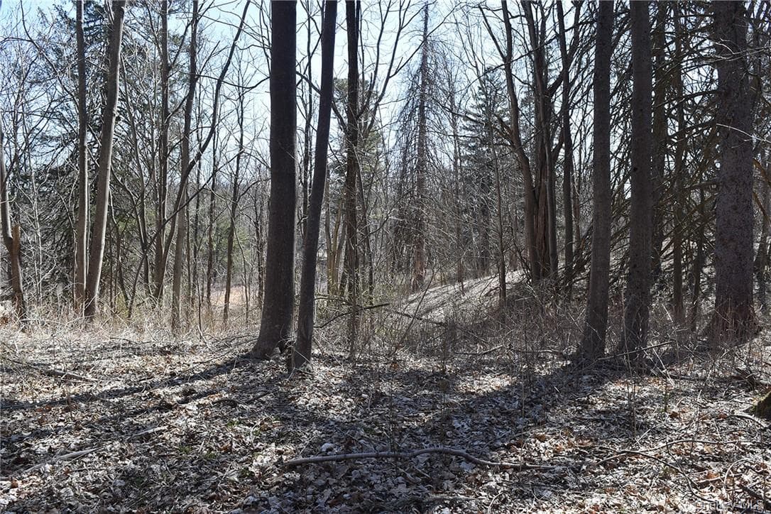 79-85 Miller Road thumbnail 9