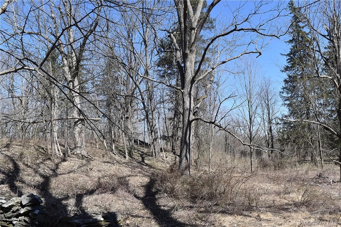 79-85 Miller Road thumbnail 15