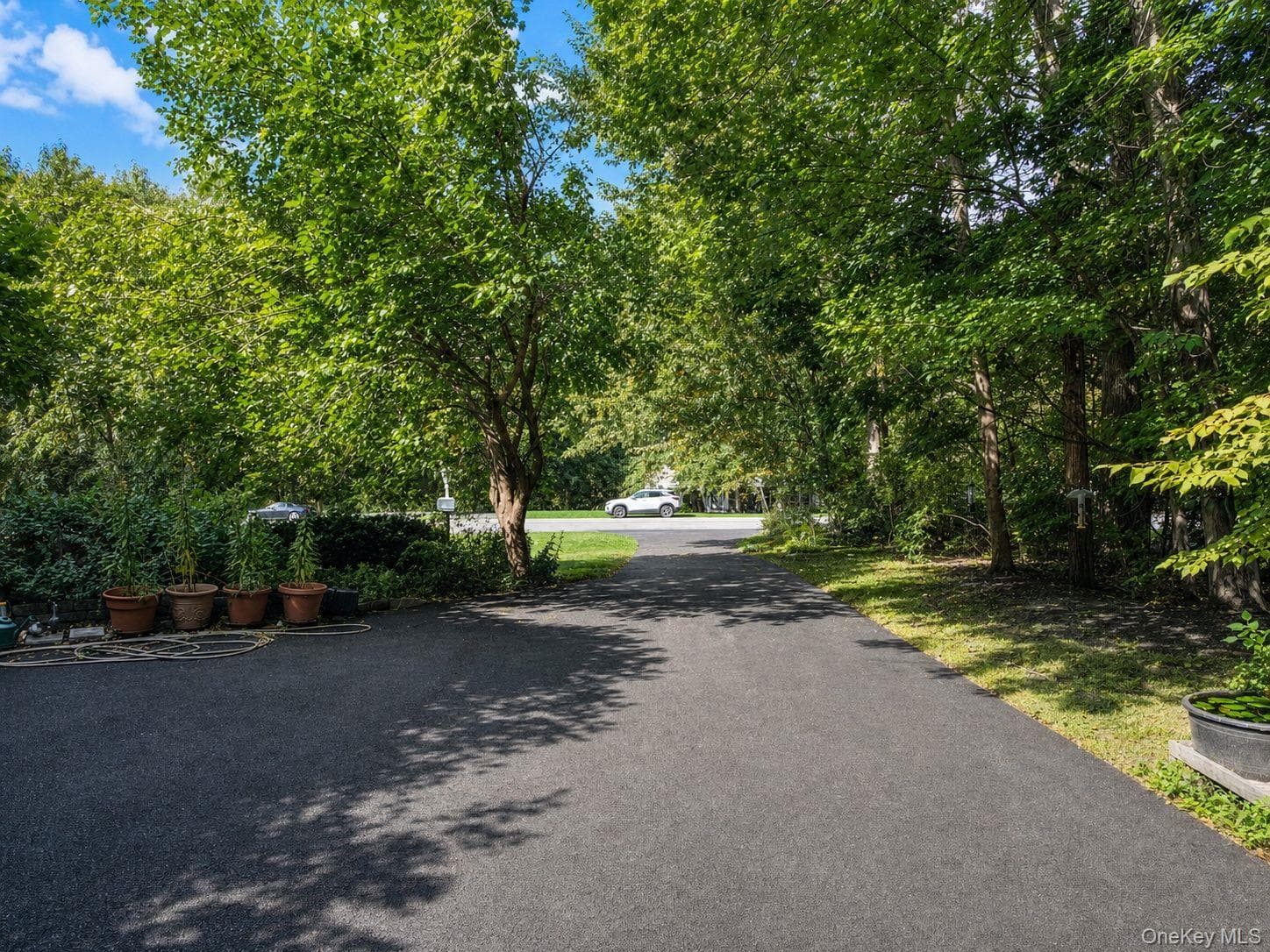 115 Foxwood Drive thumbnail 38