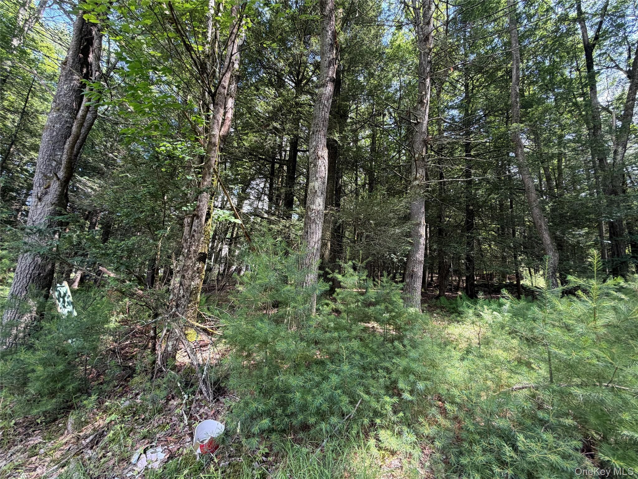 60 Highland Lake Road thumbnail 31
