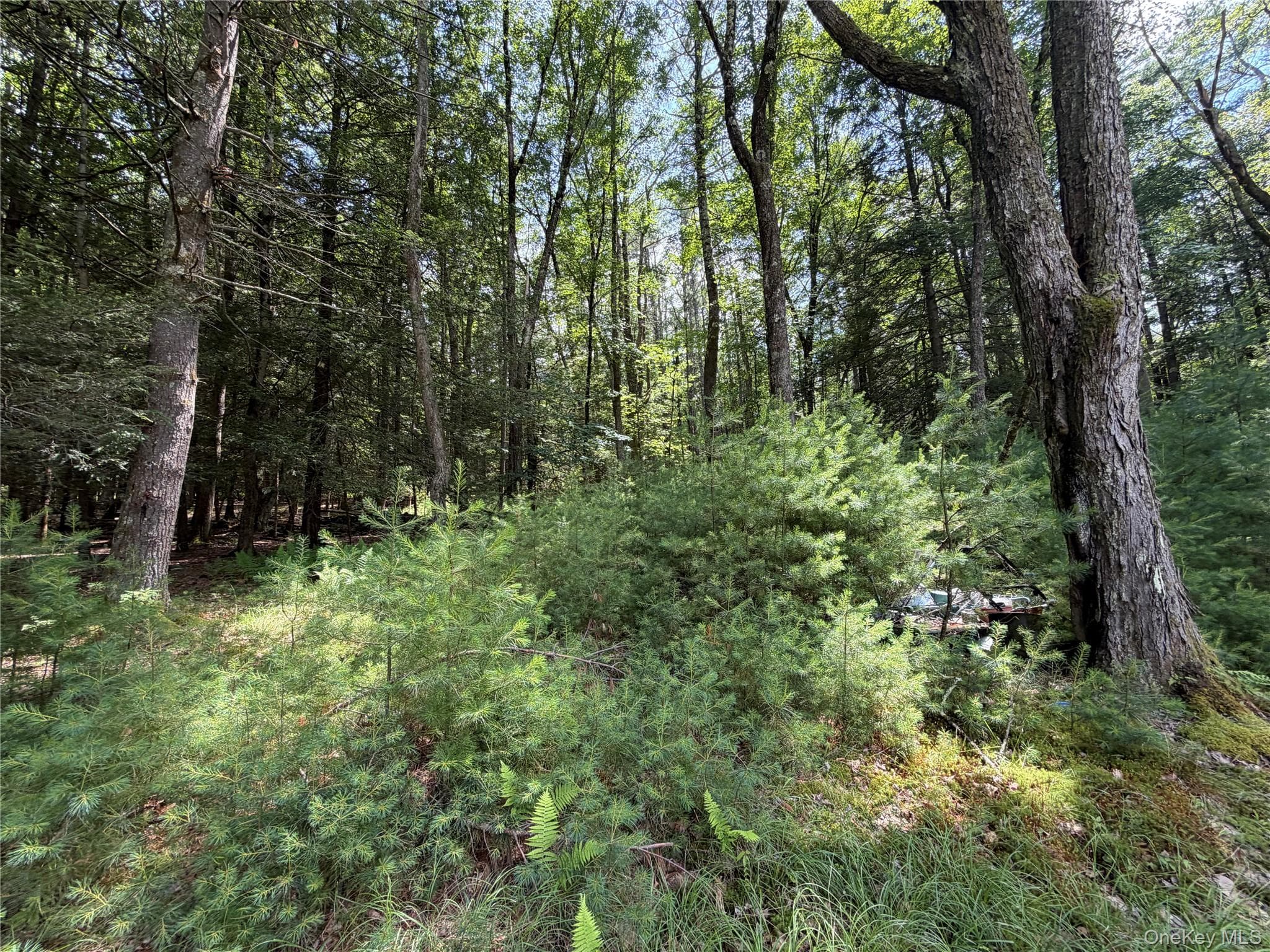 60 Highland Lake Road thumbnail 30
